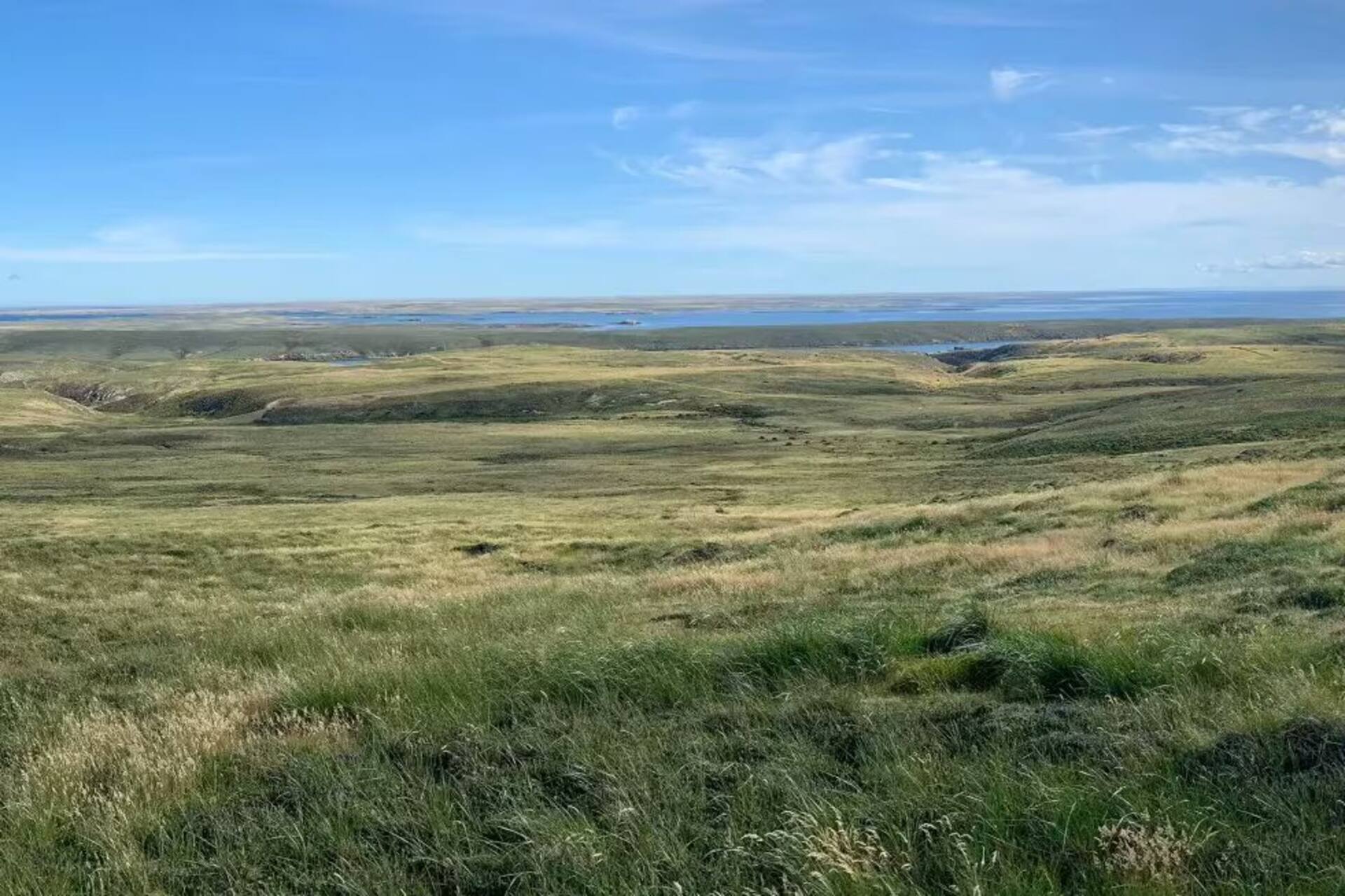 Piano delle Falkland: vaste distese di torbiere e ambienti umidi si estendono sotto cieli ventosi, rivelando un ecosistema unico e prezioso per lo studio dei cambiamenti climatici e la conservazione del carbonio a livello globale