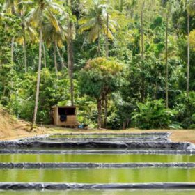 Dominica lancia un hub agricolo digitale contro la crisi climatica