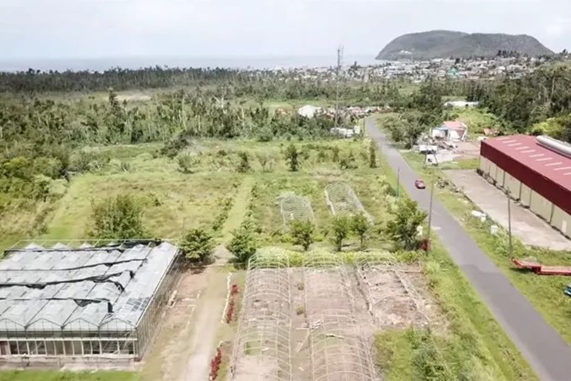 Dominica: un nuovo ecosistema agricolo digitale prende forma grazie alla cooperazione tra istituzioni, università e comunità locali, con l’obiettivo di aumentare produttività, competitività e sovranità alimentare nel Paese