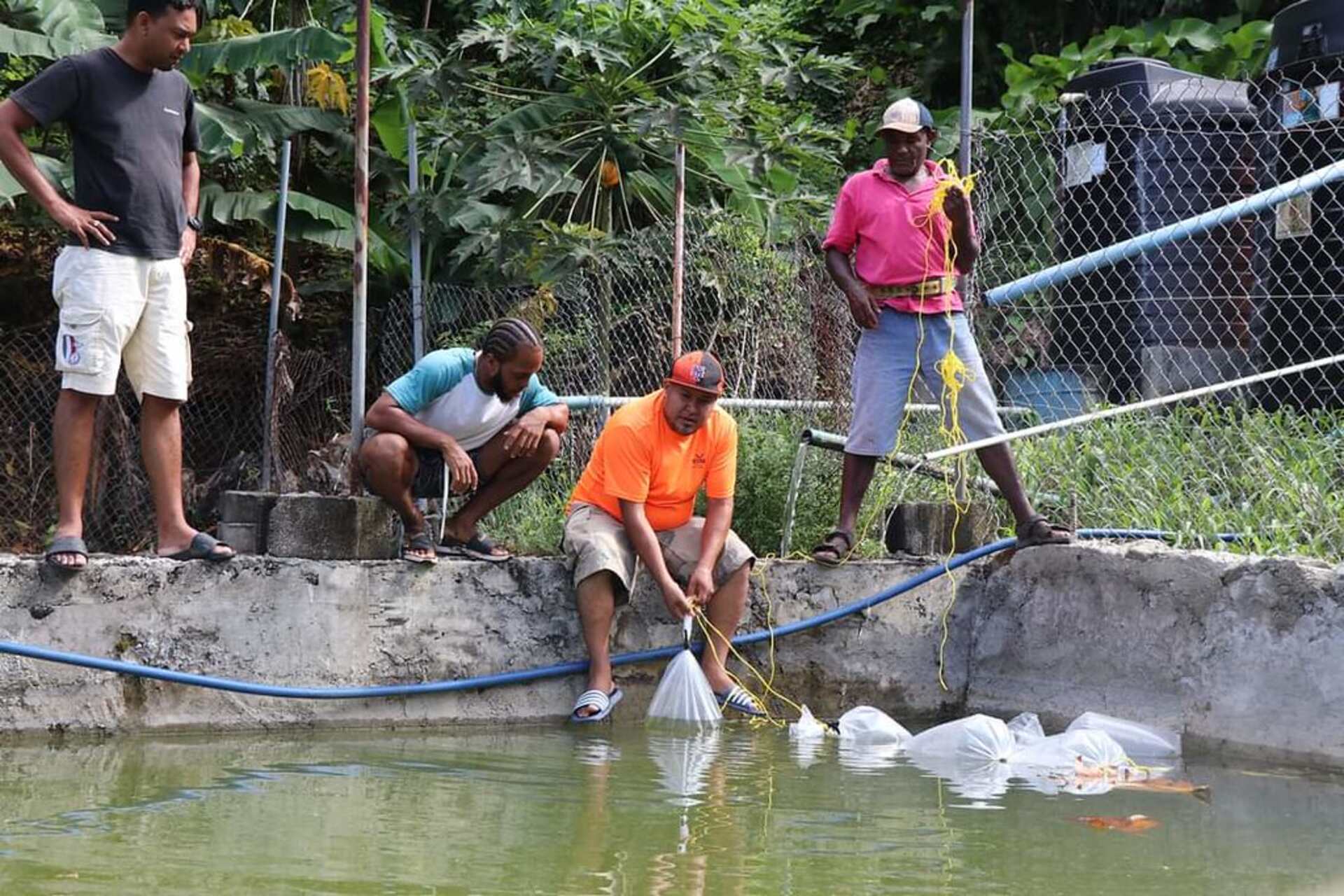 Dominica: il Digital Agriculture Innovation Hub, realizzato con il supporto della FAO, offre strumenti tecnologici e formazione per trasformare l'agricoltura tradizionale in un modello sostenibile, efficiente e adattabile al clima