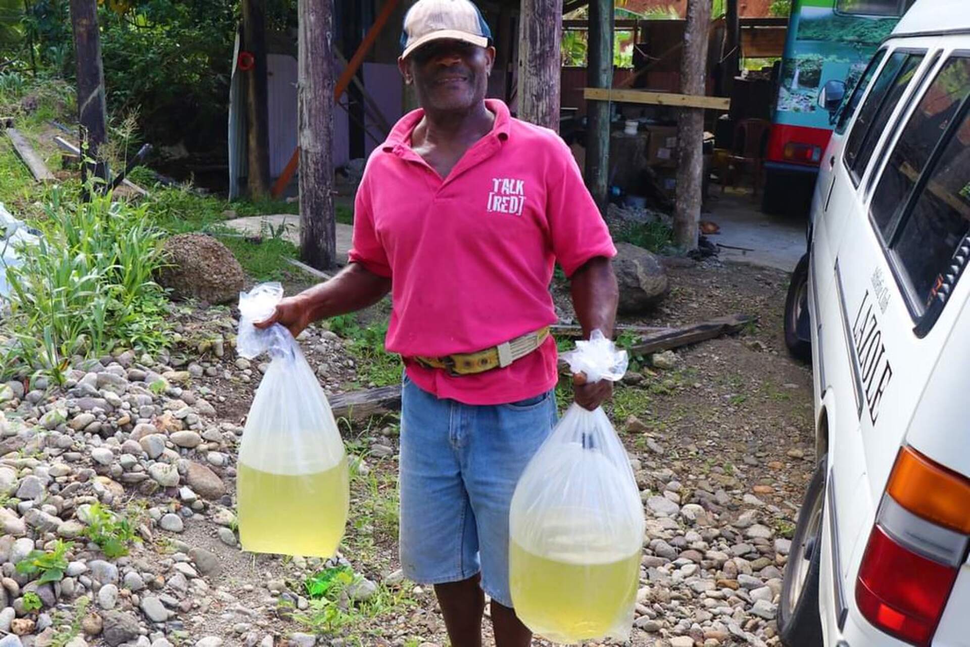 Dominica: il Digital Agriculture Innovation Hub, realizzato con il supporto della FAO, offre strumenti tecnologici e formazione per trasformare l'agricoltura tradizionale in un modello sostenibile, efficiente e adattabile al clima