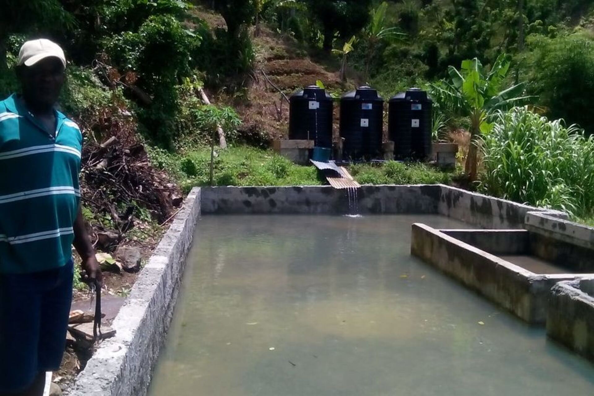 Dominica: hub digitali, innovazione agricola e sostenibilità climatica al centro della strategia nazionale per rilanciare il settore agroalimentare, migliorare la resilienza e creare opportunità per le piccole imprese e i produttori locali