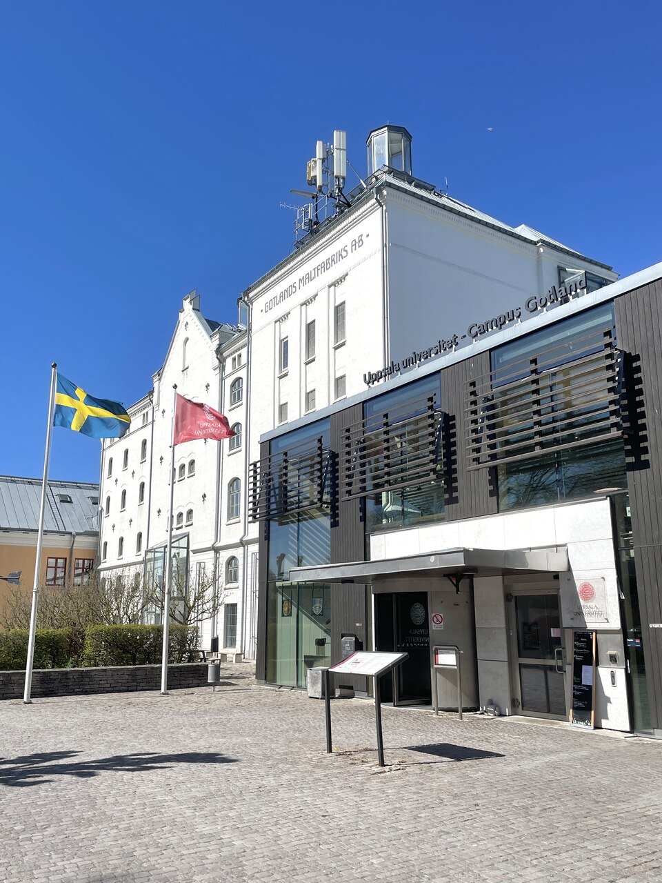 Gotland: protagonista di un piano strategico decennale, punta a diventare un punto di riferimento per l’industria videoludica nordica attraverso eventi, fondi mirati e collaborazioni tra istituzioni, imprese e università