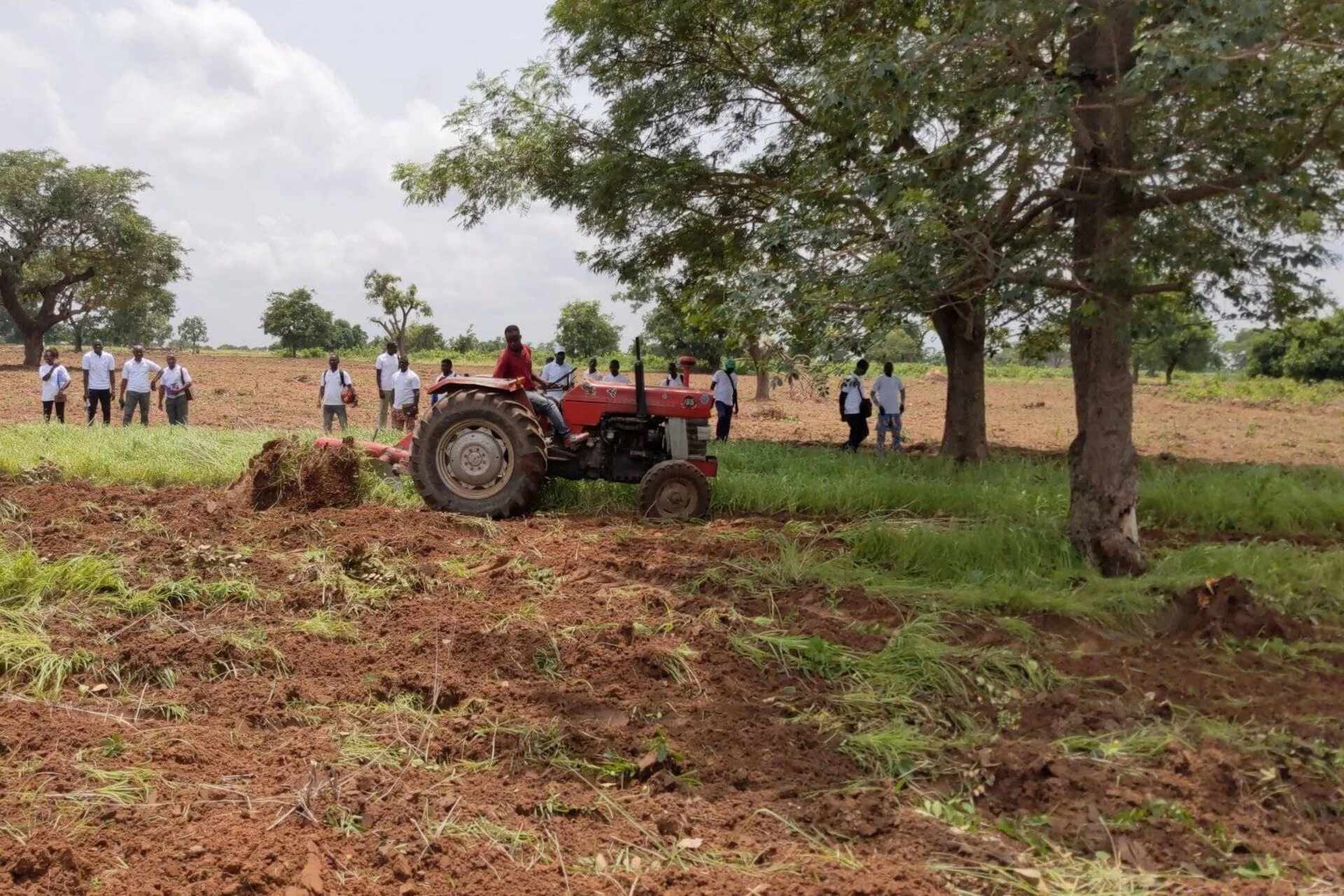 Togo: il governo punta su formazione digitale, agritech e identità elettronica per costruire un’economia più inclusiva, resiliente e sostenibile, integrando innovazione tecnologica e politiche di sviluppo sociale a lungo termine