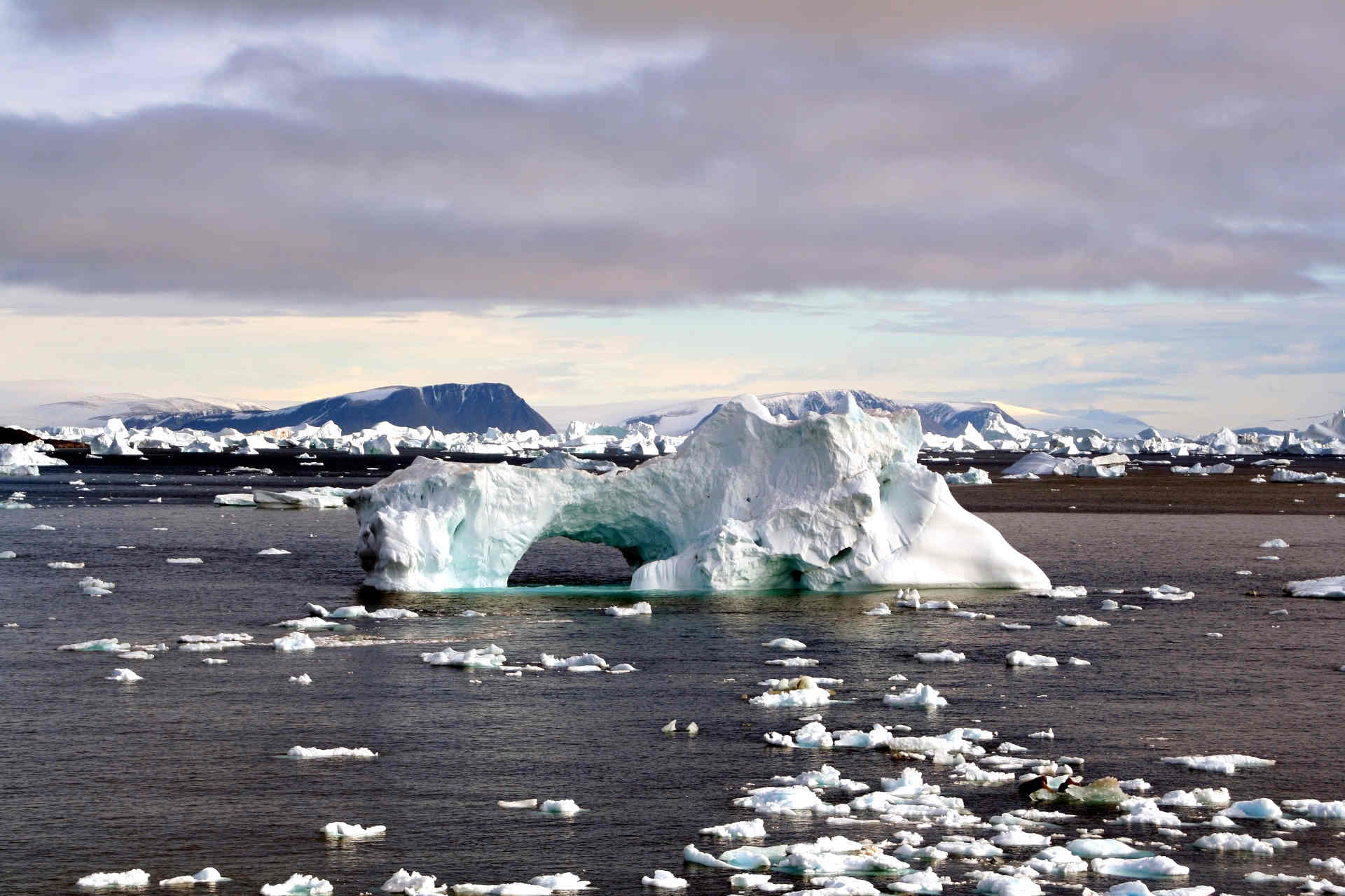 Cambiamento climatico: il 2024 è stato un anno record