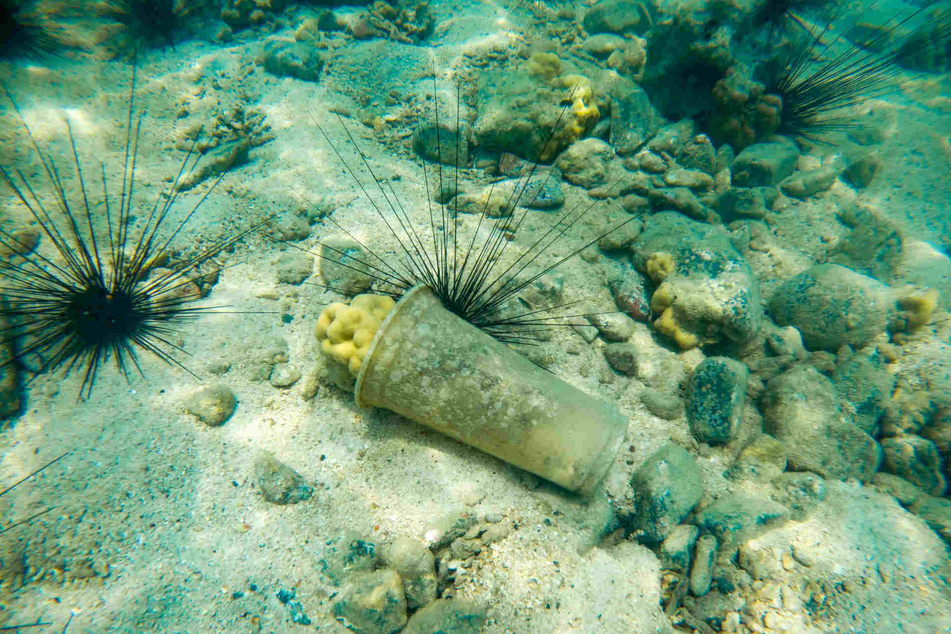 La plastica che si degrada anche in acque profonde