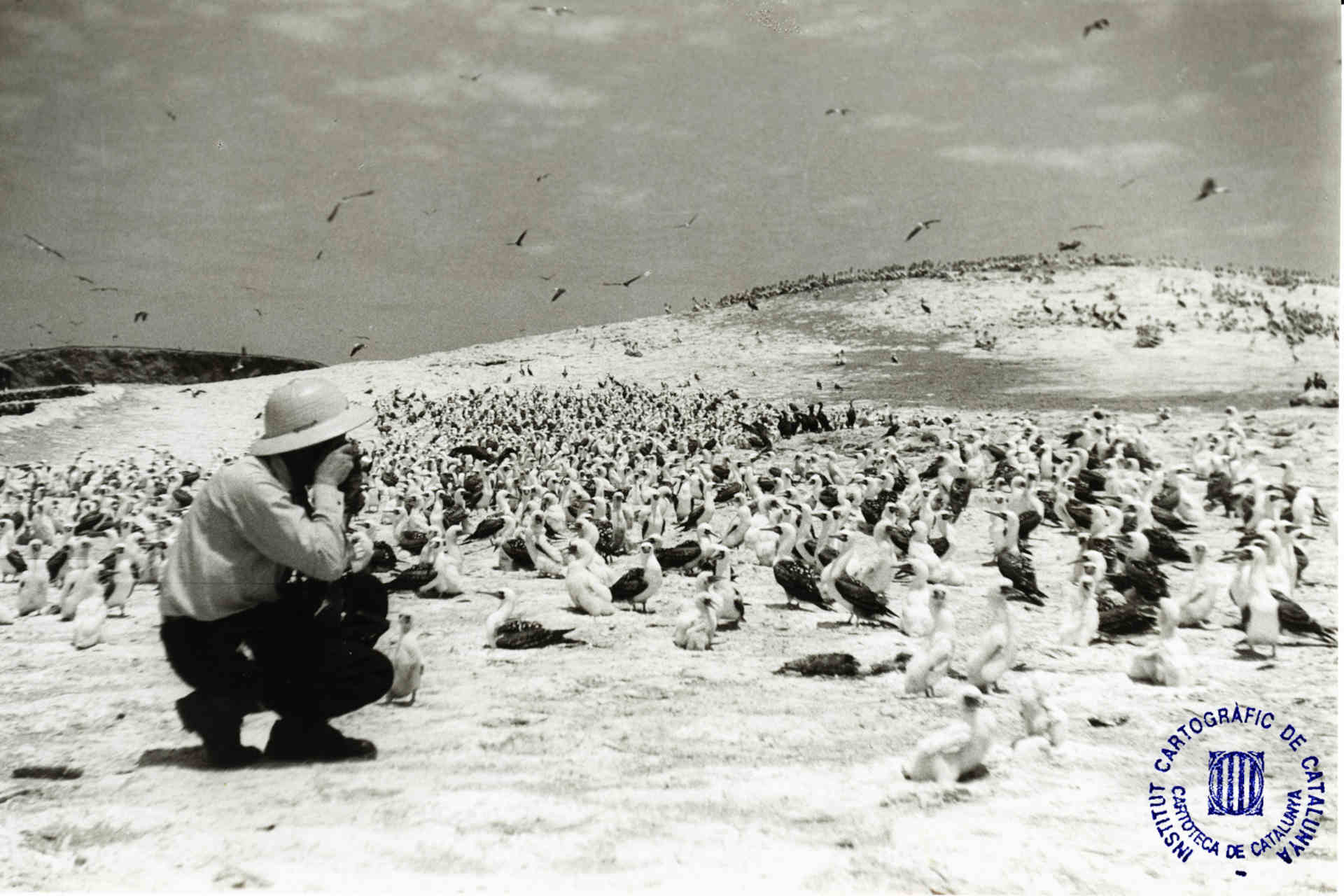 Fertilizzanti: quando le Isole Chincha erano il centro del mondo