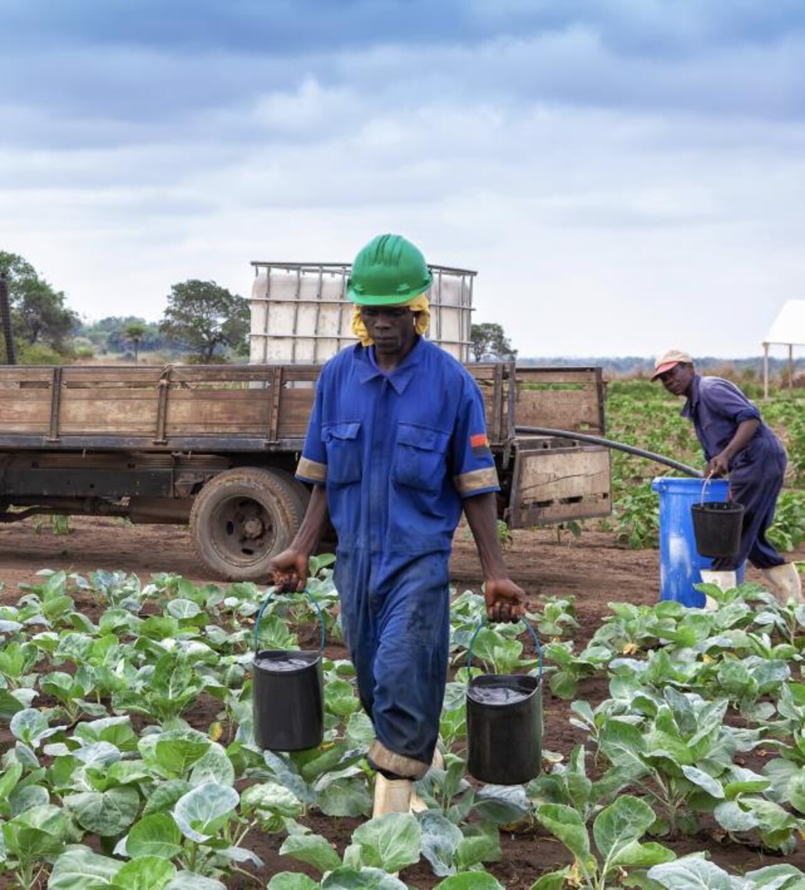 Cabinda: sviluppo agricolo e industriale grazie a un progetto innovativo per trasformare il fosfato in fertilizzante, con impianti moderni, infrastrutture strategiche e tecniche avanzate a supporto della produttività e della sostenibilità