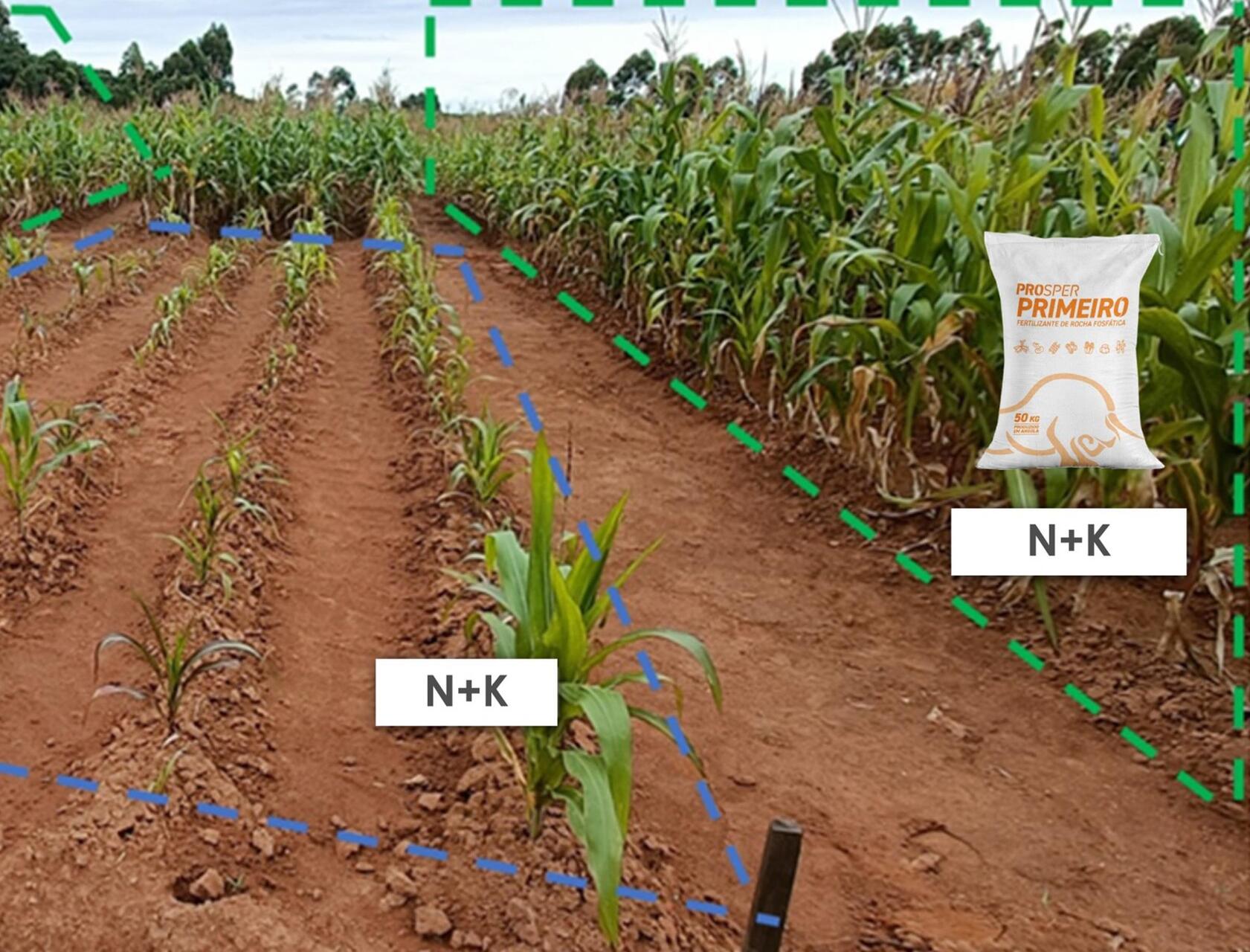 Cabinda: sviluppo agricolo e industriale grazie a un progetto innovativo per trasformare il fosfato in fertilizzante, con impianti moderni, infrastrutture strategiche e tecniche avanzate a supporto della produttività e della sostenibilità