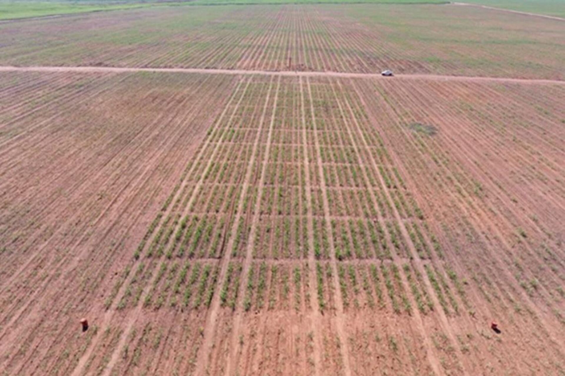 Cabinda: sviluppo agricolo e industriale grazie a un progetto innovativo per trasformare il fosfato in fertilizzante, con impianti moderni, infrastrutture strategiche e tecniche avanzate a supporto della produttività e della sostenibilità