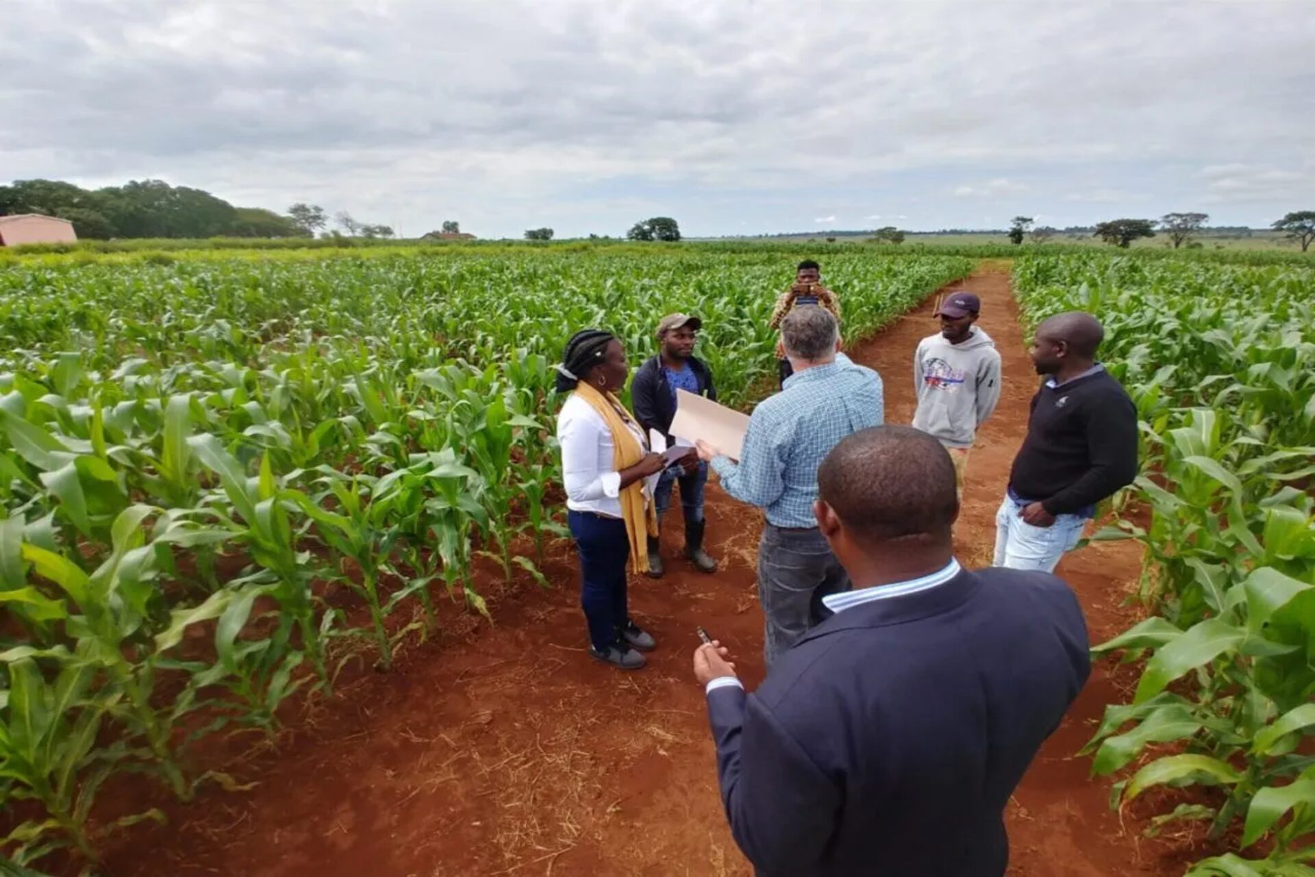 Cabinda: modernizzazione agricola attraverso la produzione locale di fertilizzanti di qualità, testati sul campo per aumentare le rese, migliorare la fertilità del suolo e promuovere la sicurezza alimentare nazionale e regionale