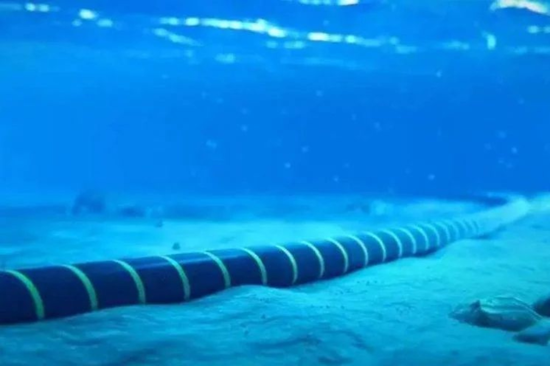 Martinica: isola strategica dei Caraibi che sviluppa progetti di connettività in fibra ottica, agro innovazione e transizione energetica, integrando formazione tecnologica, imprese sostenibili e partnership transnazionali per un futuro resiliente