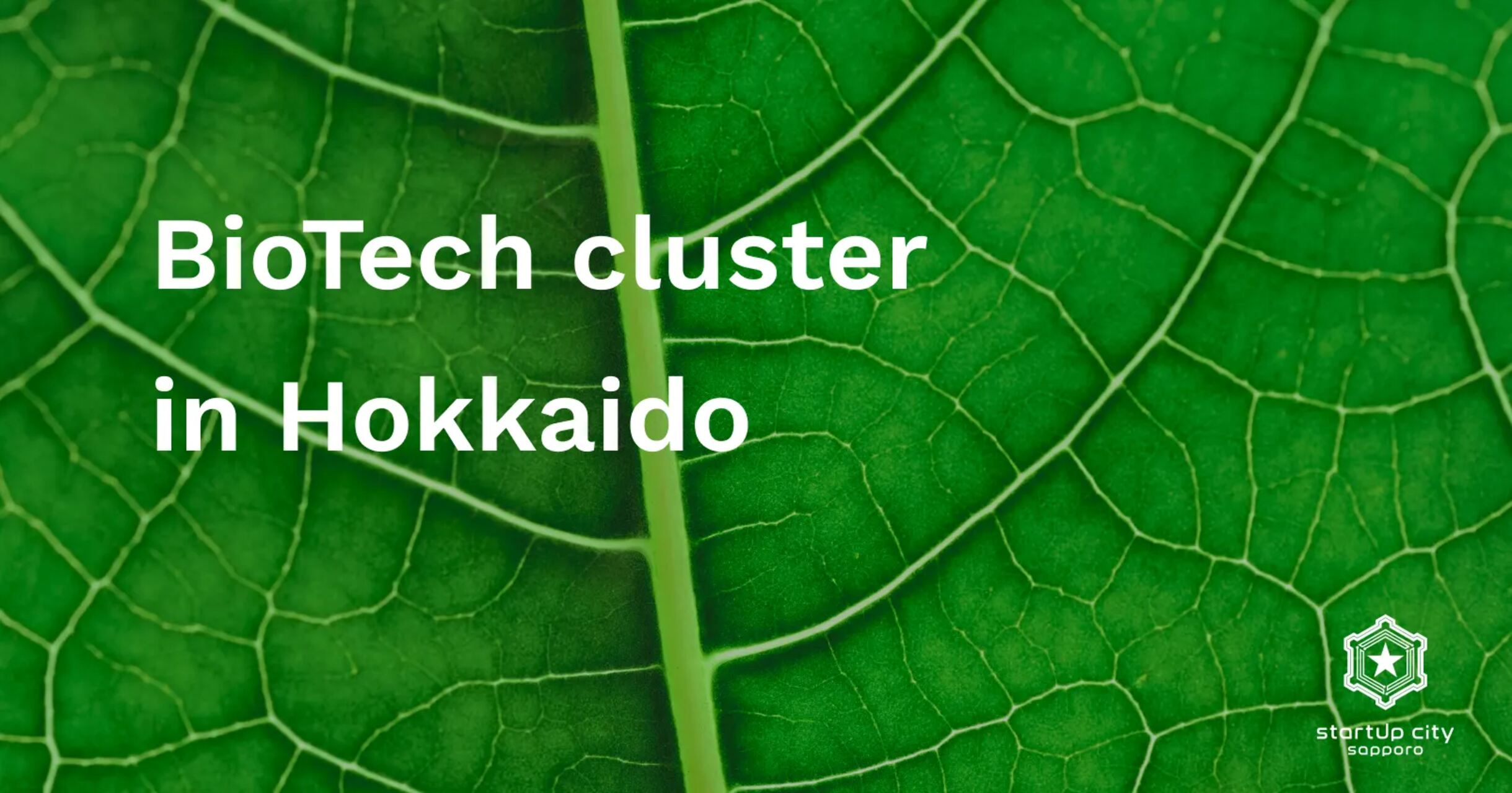 Il rilancio economico e scientifico di Sapporo dimostra come un fondo pubblico-privato, sostenuto da università di prestigio e aziende visionarie, possa trasformare sfide demografiche e sanitarie in opportunità di crescita per l’intero Paese