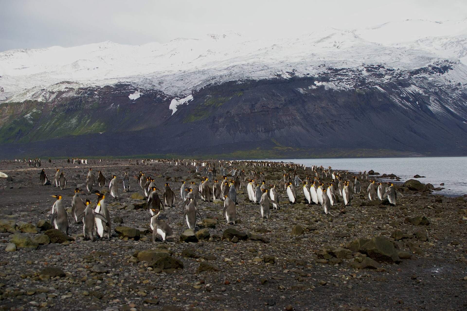 Spedizione australiana a Heard Island e McDonald Islands per studiare ambiente, fauna e ghiacciai in un contesto estremo. Scienza, innovazione e geopolitica si intrecciano in uno dei luoghi più remoti del pianeta