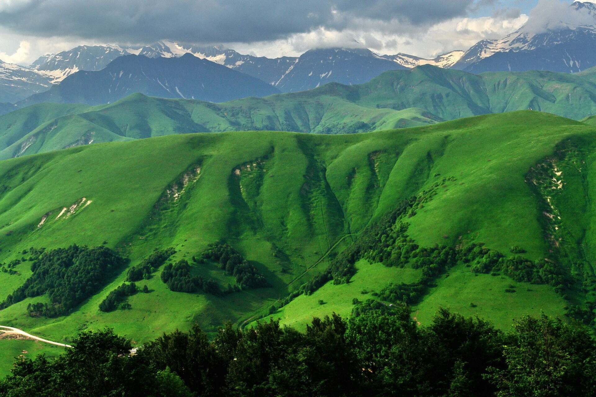 Ossezia del Sud: un territorio di colline e montagne dove l’agricoltura cerca nuove strade tra tradizione e innovazione, con riforme, ricerca e tecnologie che puntano a garantire sicurezza alimentare e sviluppo sostenibile per la popolazione locale