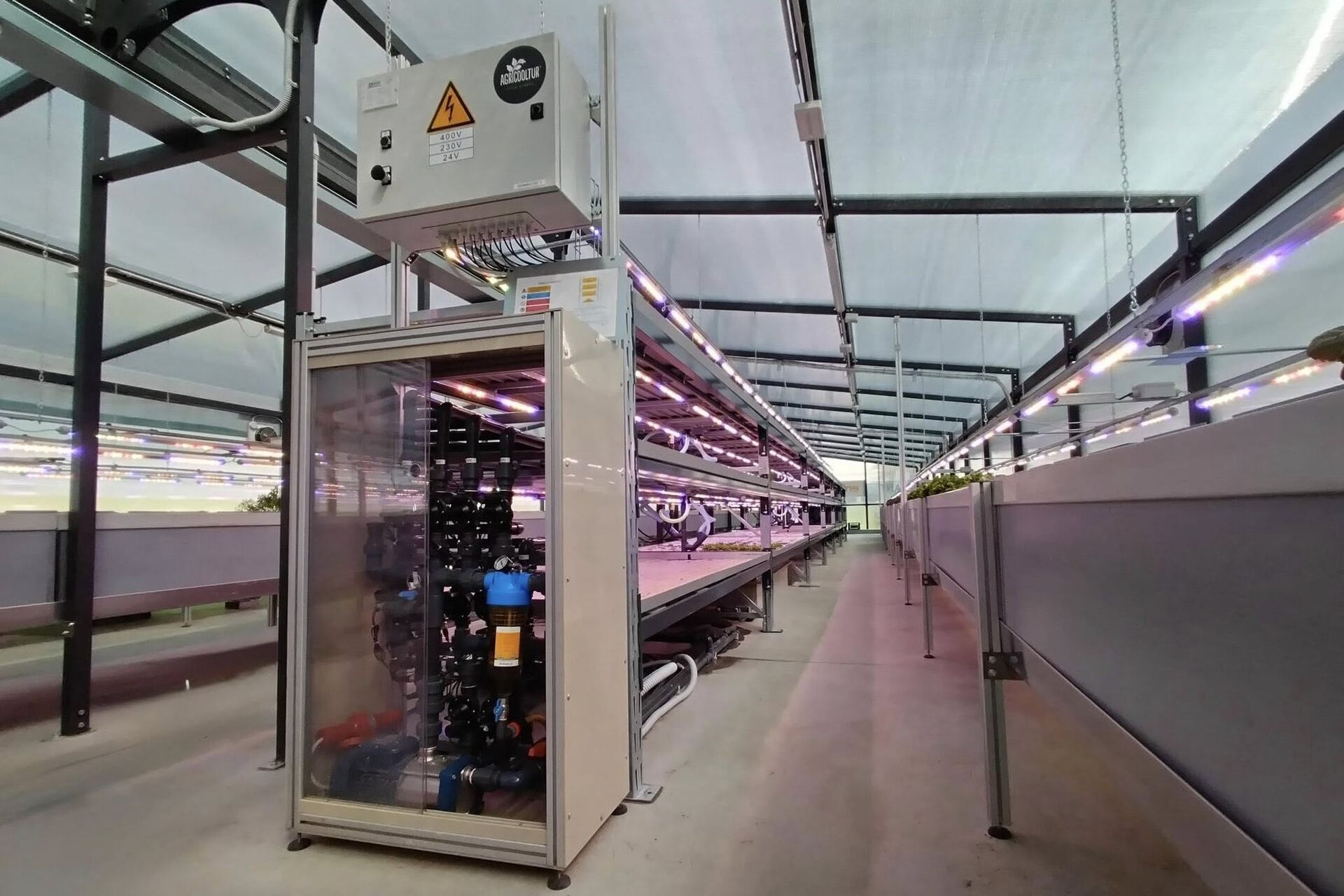 Innovazione e sostenibilità si incontrano nella serra aeroponica di ENI a San Donato Milanese, dove macchinari intelligenti regolano luce, irrigazione e nutrienti, garantendo verdure sane e filiere cortissime per le mense aziendali