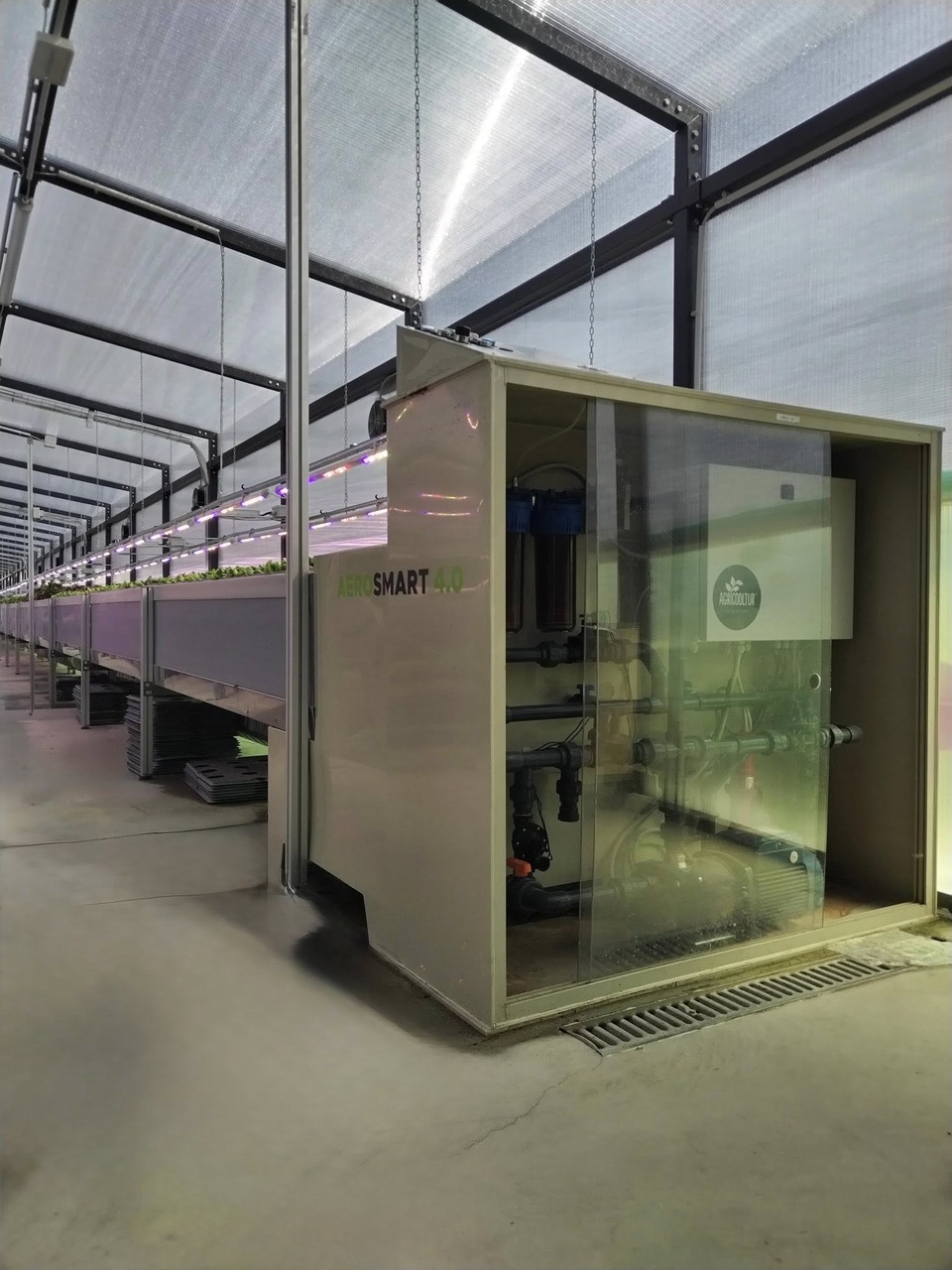 Innovazione e sostenibilità si incontrano nella serra aeroponica di ENI a San Donato Milanese, dove macchinari intelligenti regolano luce, irrigazione e nutrienti, garantendo verdure sane e filiere cortissime per le mense aziendali
