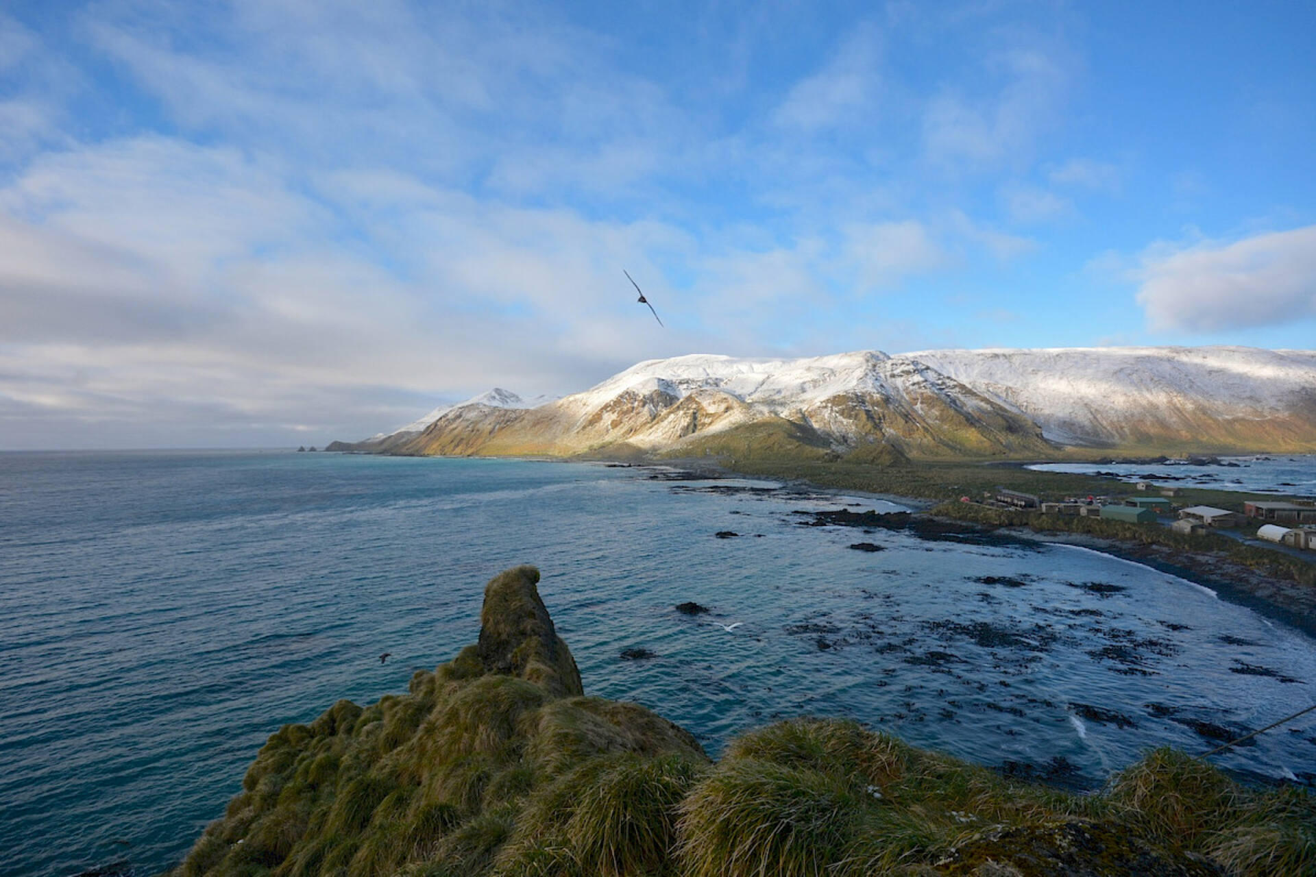 Macquarie Island: riserva naturale tasmaniana nell’Oceano Pacifico sud-occidentale, sede di una stazione di ricerca in fase di ricostruzione, dove scienziati studiano gli effetti del cambiamento climatico e la resilienza della fauna selvatica