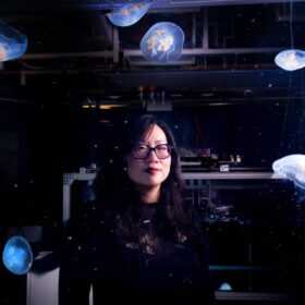 Meduse cyborg per studiare l’oceano: la ricerca di Nicole Xu