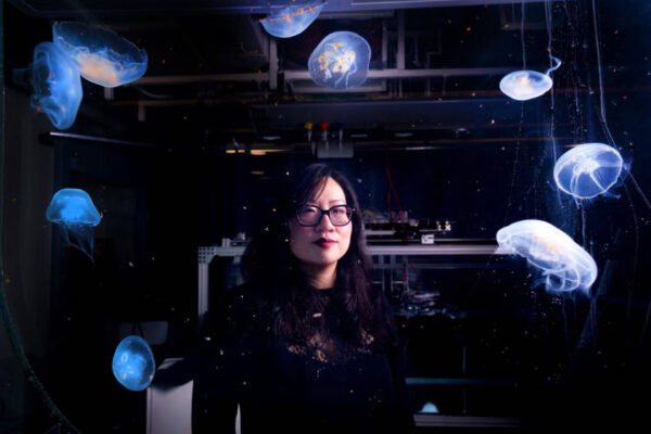 Meduse cyborg per studiare l’oceano: la ricerca di Nicole Xu