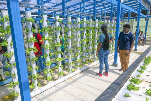 Tecnologie verdi e agricoltura hi-tech: la svolta di Santa Lucia