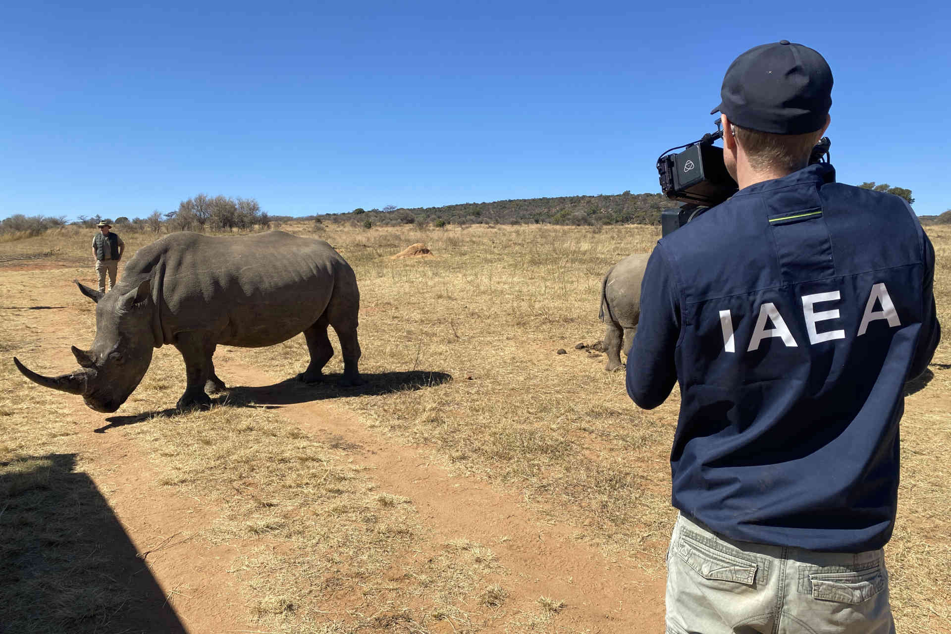 Sud Africa, il progetto contro il bracconaggio di rinoceronti