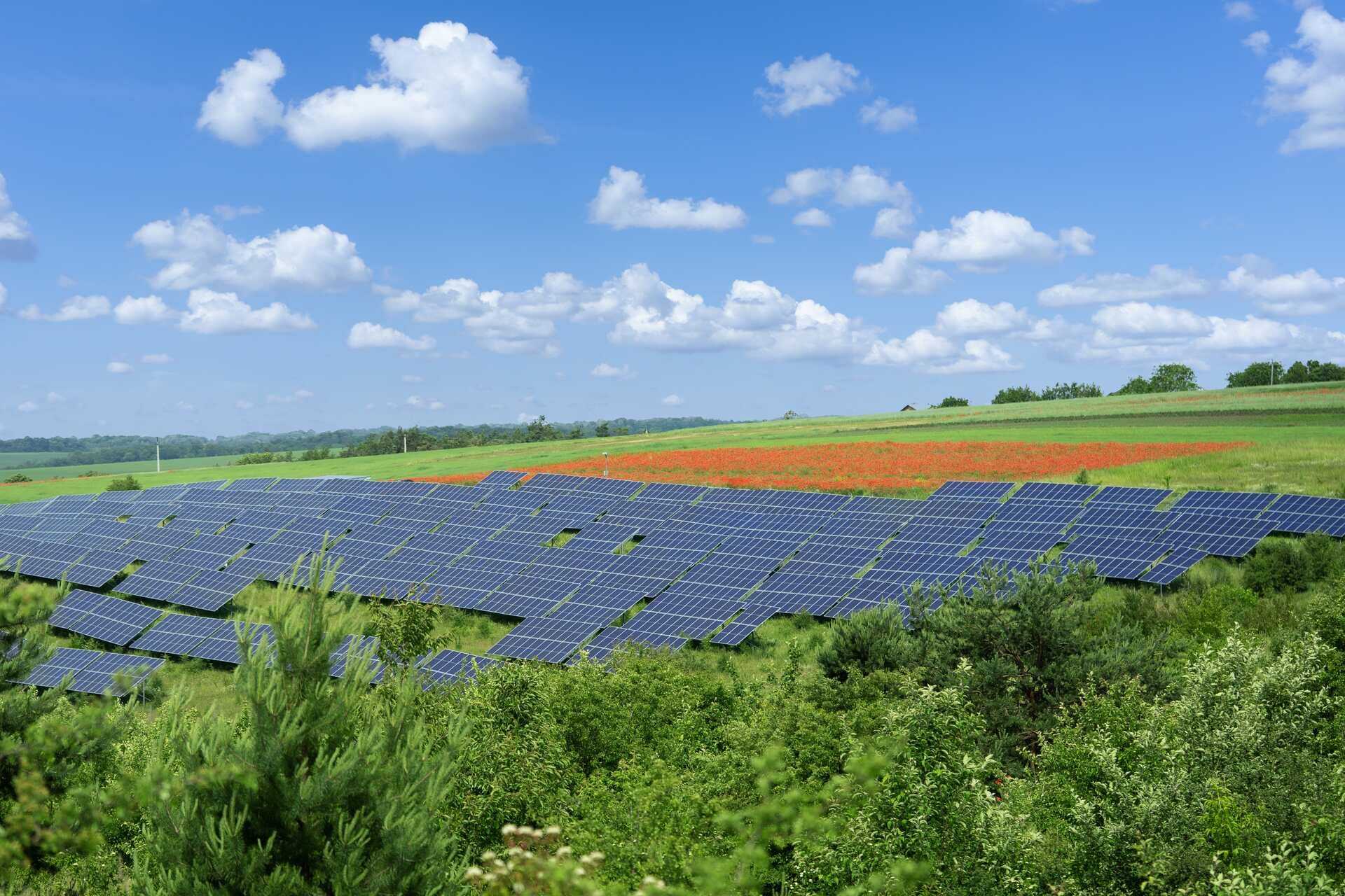 Campo fotovoltaico con integrazione di batterie di seconda vita per immagazzinare energia rinnovabile, ridurre le emissioni e sostenere la transizione energetica verso modelli più sostenibili