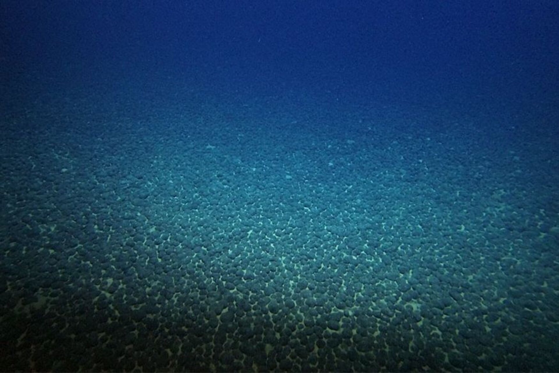 Tesoro sommerso del Giappone: ricerca scientifica della Nippon Foundation e dell’Università di Tokyo sui metalli rari presenti nel fango oceanico profondo al largo dell’isola di Minami-Torishima