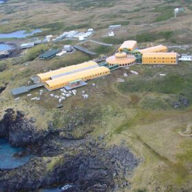 L’innovativa lotta alle piante aliene delle Prince Edward Islands