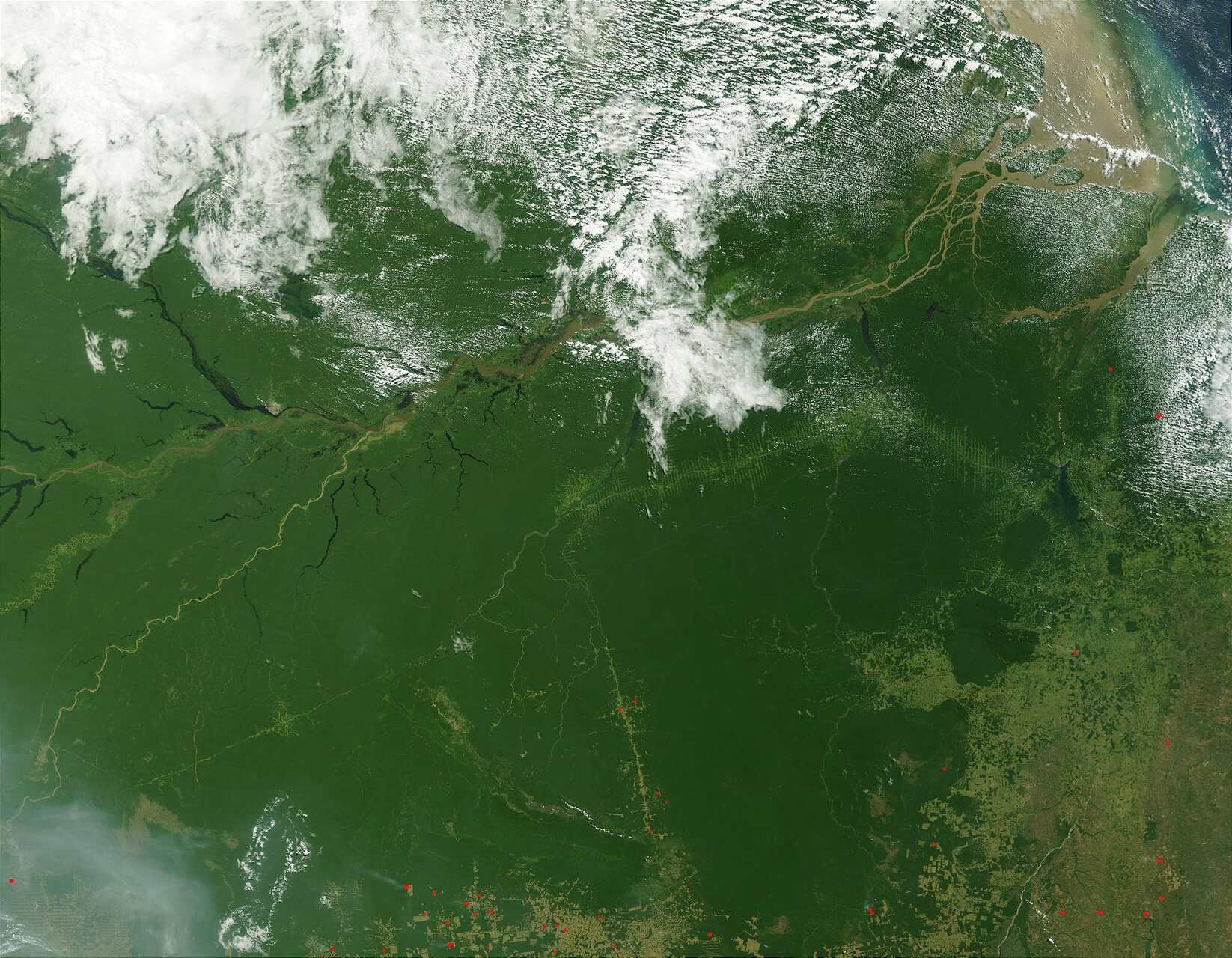 Veduta di Manaus, centro dell’Amazzonia brasiliana, simbolo della trasformazione da polo industriale a hub di innovazione e sostenibilità, tra foresta, tecnologia e sviluppo locale