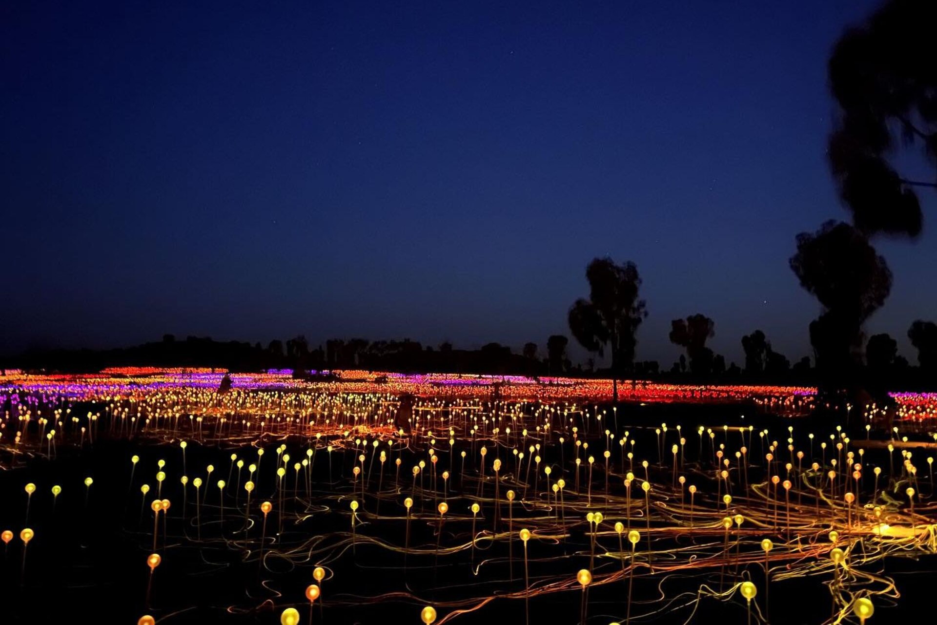 Field of Light a Uluṟu ripreso di notte, con migliaia di bulbi e fibre ottiche che illuminano il deserto. Un paesaggio suggestivo che unisce arte, tecnologia e natura in un’esperienza immersiva unica