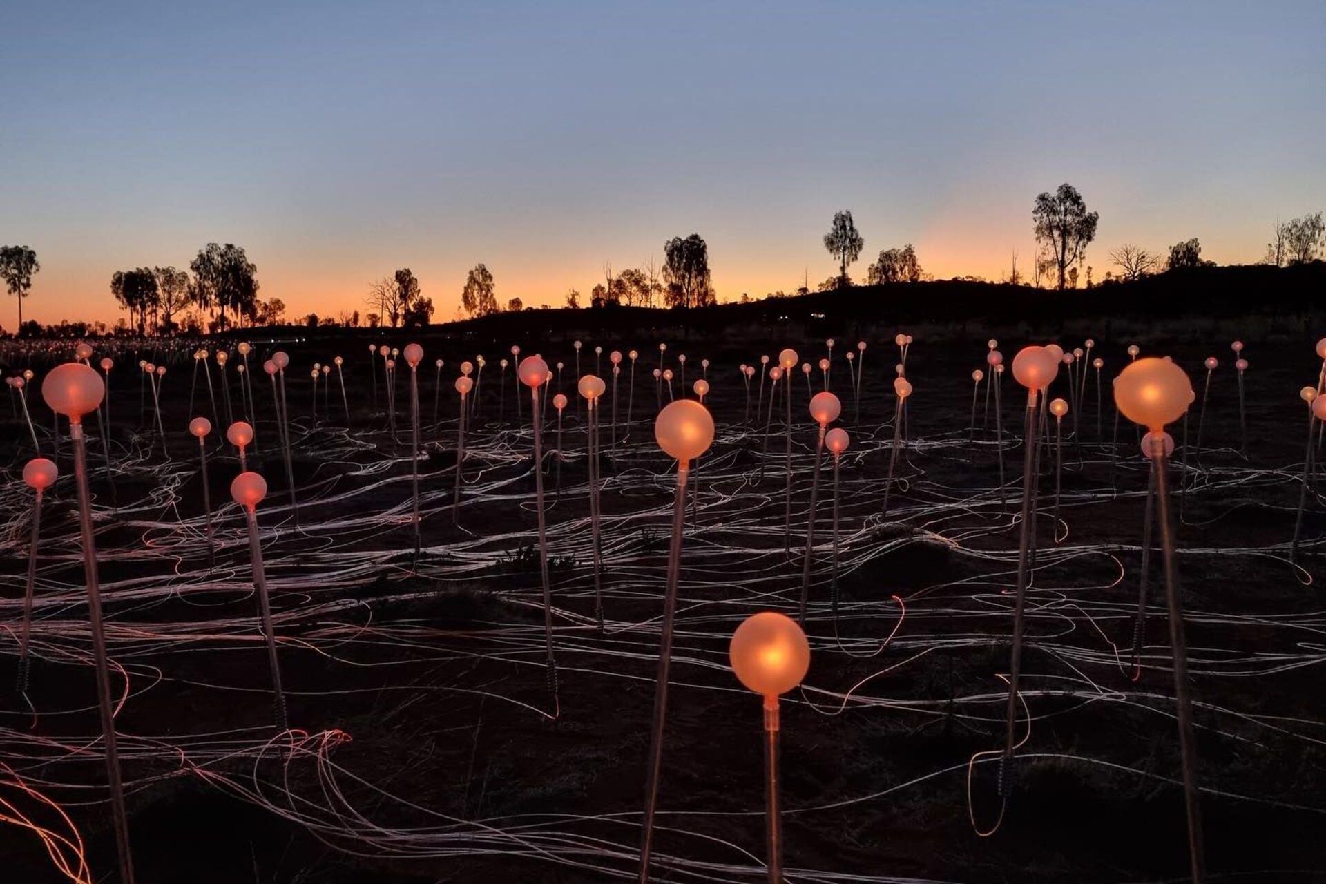 Installazione luminosa con steli e fibre ottiche multicolori che si accendono al tramonto nel Red Centre australiano, creando un campo di luce che dialoga con il cielo e il paesaggio desertico circostante