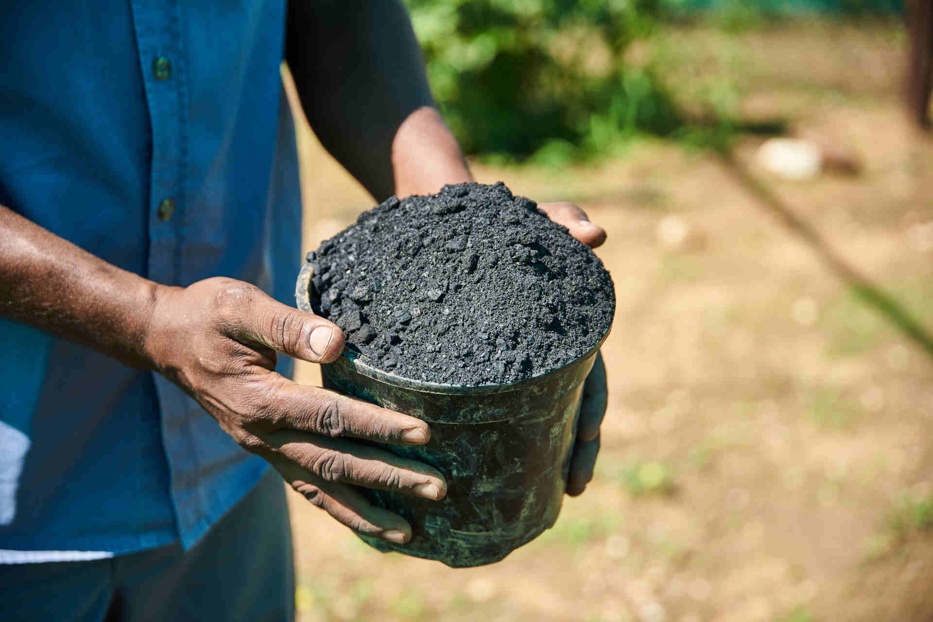 Nuova scoperta sul biochar