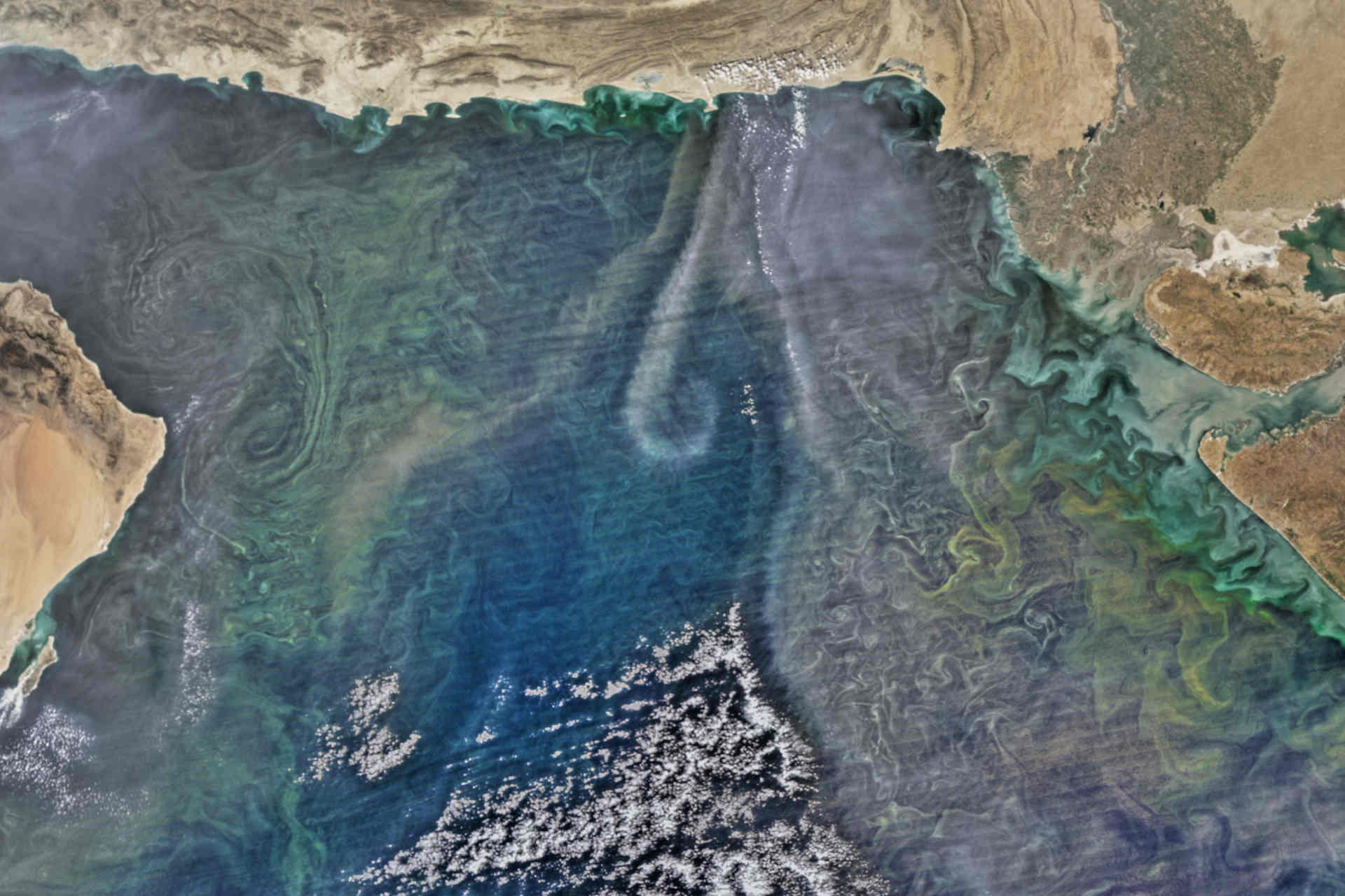 Perché l'oceano ha bisogno di ossigeno