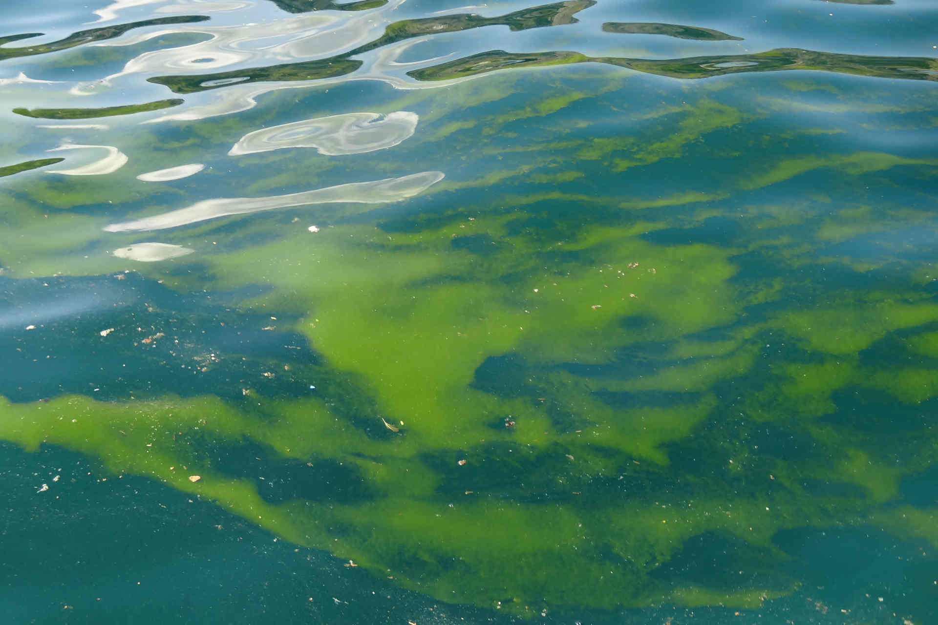 Come respira l'oceano