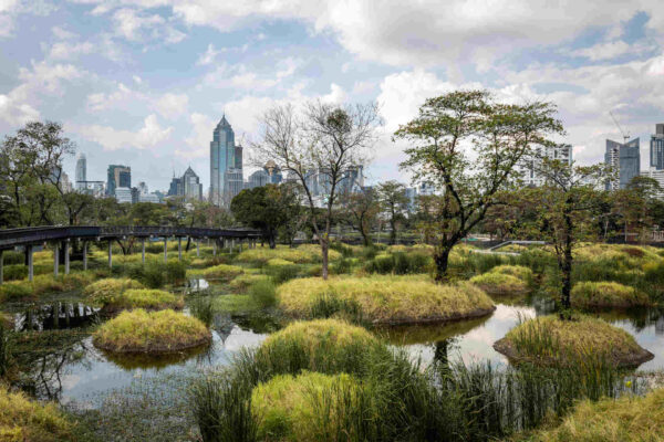 Piccoli parchi, grandi lezioni: l’oasi mancata a Bangkok