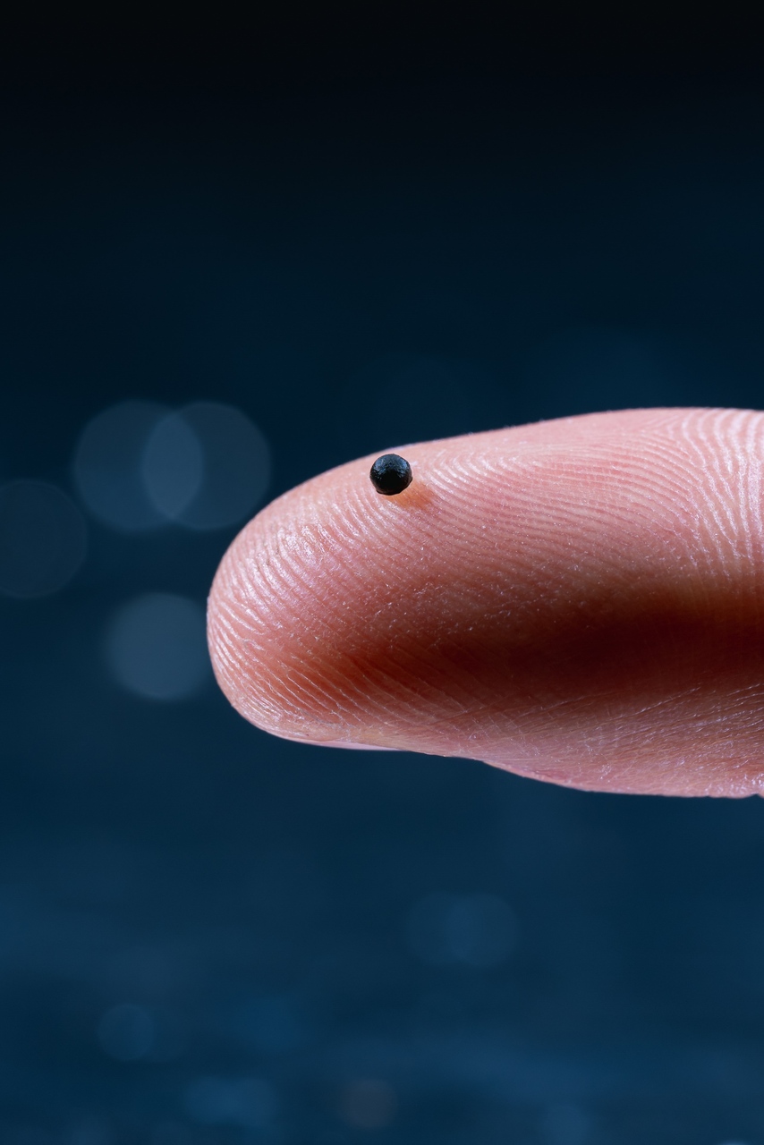 Microrobot magnetici: capsule sferiche di nuova generazione sviluppate per muoversi nei vasi e rilasciare medicinali in modo controllato, migliorando sicurezza ed efficacia delle terapie personalizzate