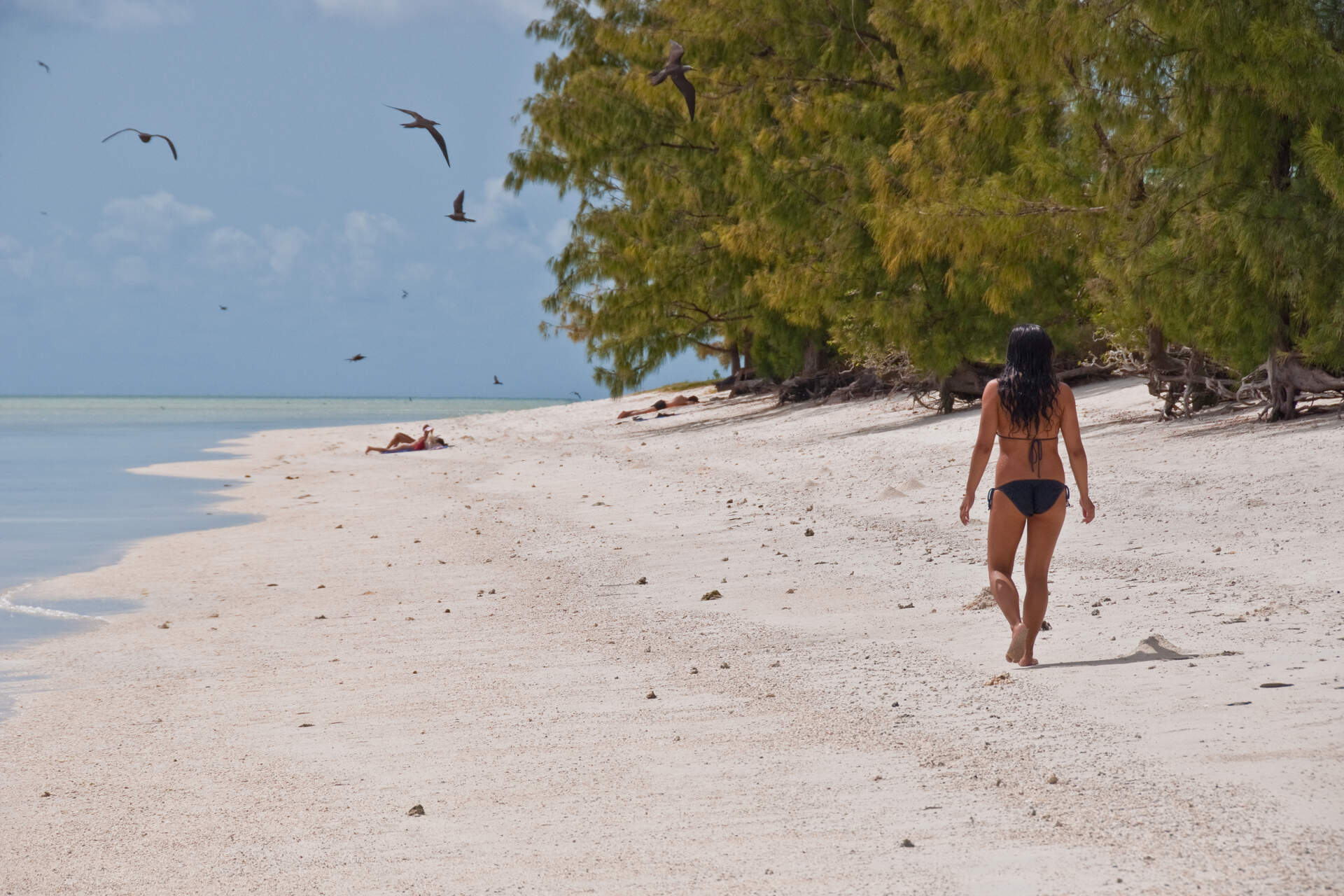 Rodrigues: panorama dell’isola mauriziana che evidenzia ambiente costiero, comunità locali e iniziative di resilienza climatica legate a sostenibilità, energia rinnovabile e sviluppo territoriale integrato