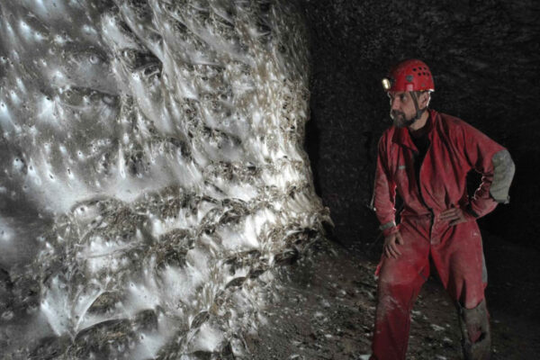 In una grotta una straordinaria scoperta sui ragni