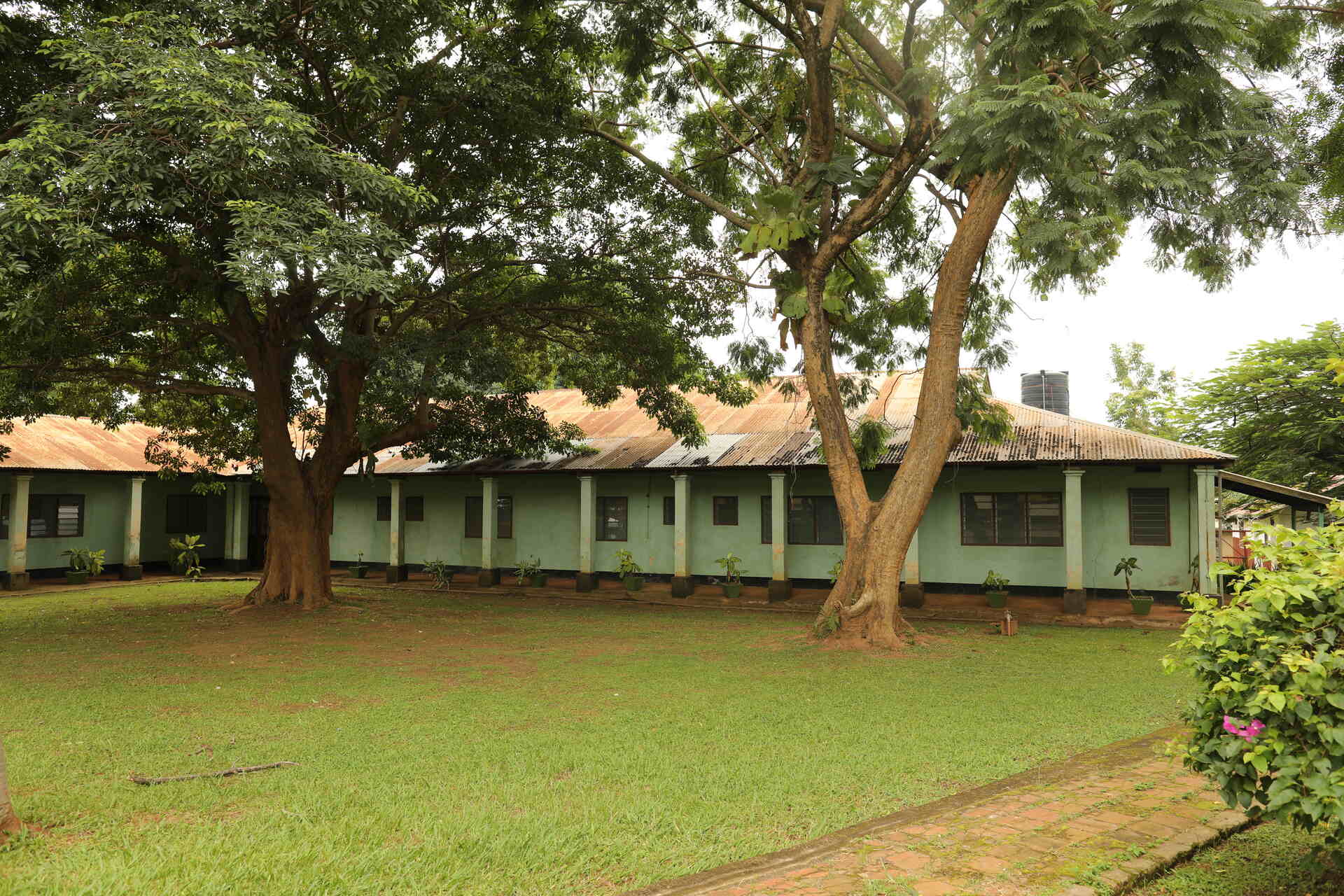 BRIDGE Uganda: modello di collaborazione internazionale tra università e ospedale non profit africano per promuovere conoscenza, competenze e impatto sociale nei sistemi sanitari emergenti