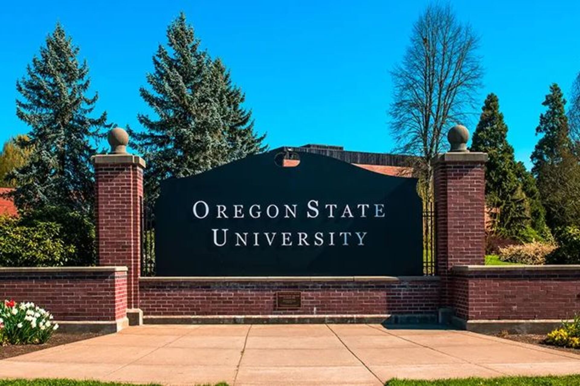 Oregon AI Accelerator: programma pubblico-privato per sostenere l’ecosistema dell’innovazione AI in Oregon, integrando ricerca accademica, trasferimento tecnologico e crescita imprenditoriale sostenibile