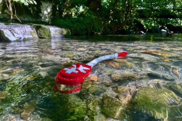 Un robot ispirato al pesce zebra svela i circuiti del comportamento