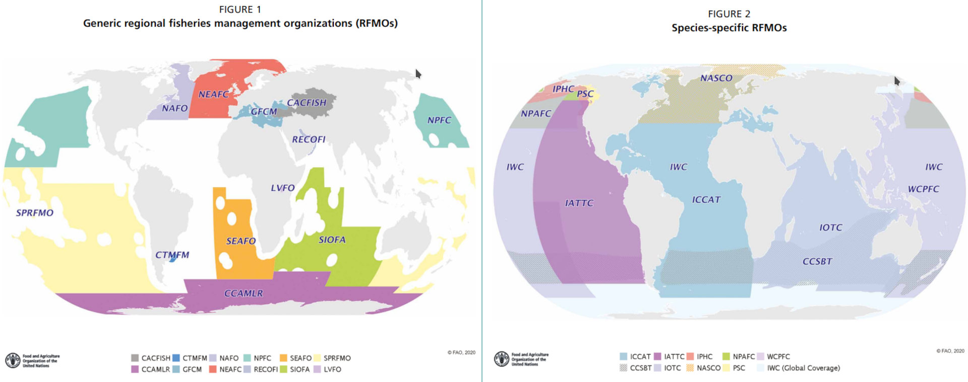 La mappa delle ORPG che governano la pesca nei due terzi dell'oceano globale