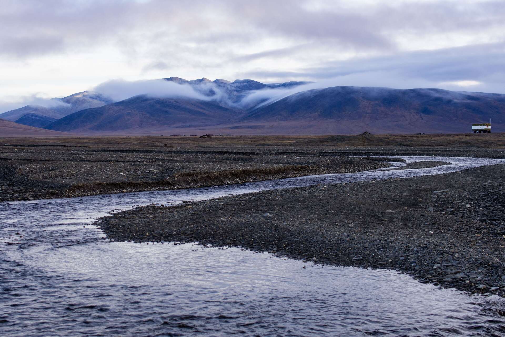 Wrangel Island: territorio insulare dell’estremo nord russo noto per il suo valore ecologico, le condizioni climatiche severe, la fauna artica protetta e la crescente attenzione scientifica e internazionale sull’area
