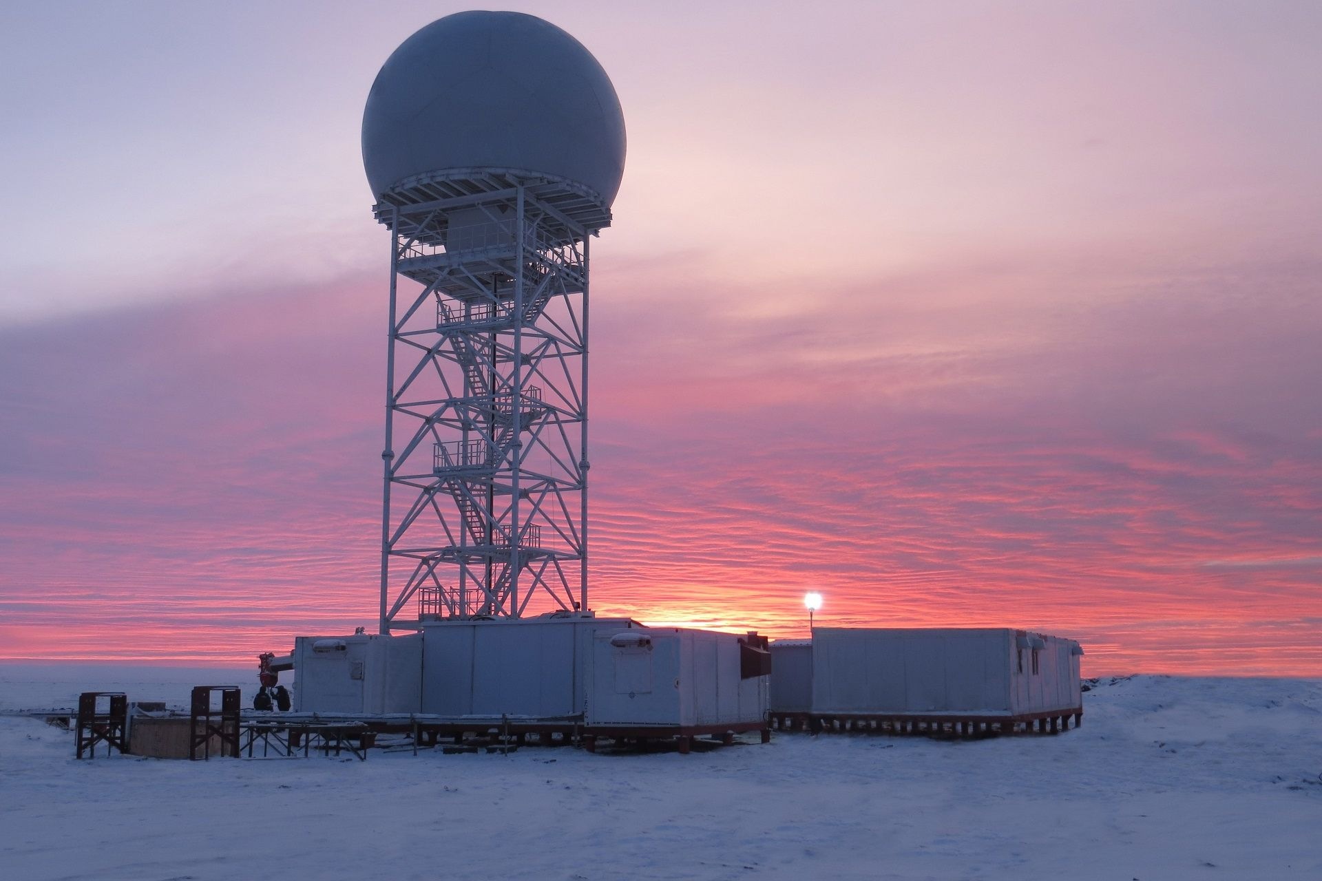 Wrangel Island: isola artica di rilevanza mondiale per la ricerca ambientale, la conservazione degli ecosistemi polari e l’analisi delle trasformazioni climatiche in uno degli ambienti più sensibili del pianeta