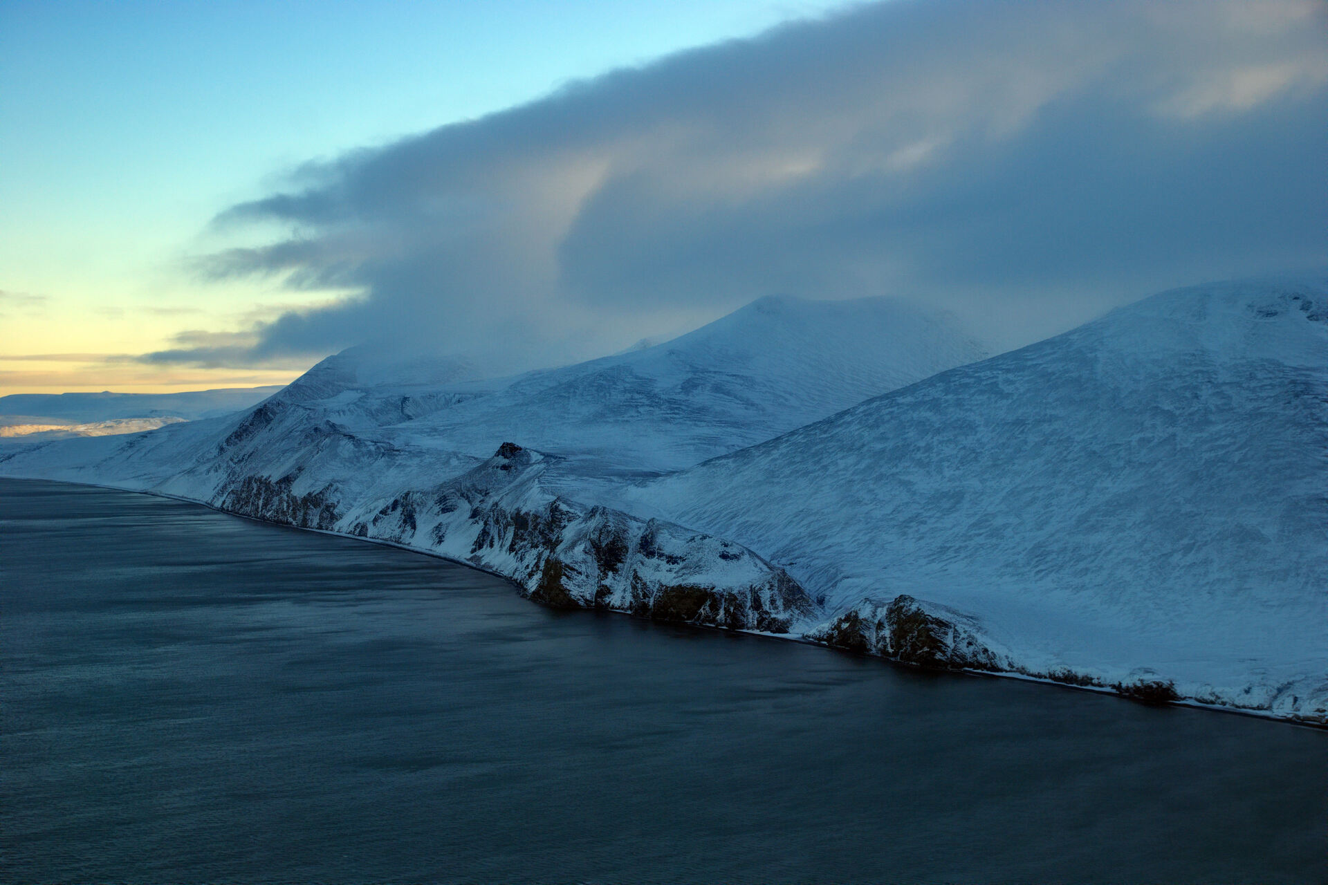 Wrangel Island: paesaggio artico isolato e scarsamente abitato, simbolo di biodiversità, resilienza naturale e interesse strategico in un’area sempre più centrale nelle dinamiche ambientali e geopolitiche globali