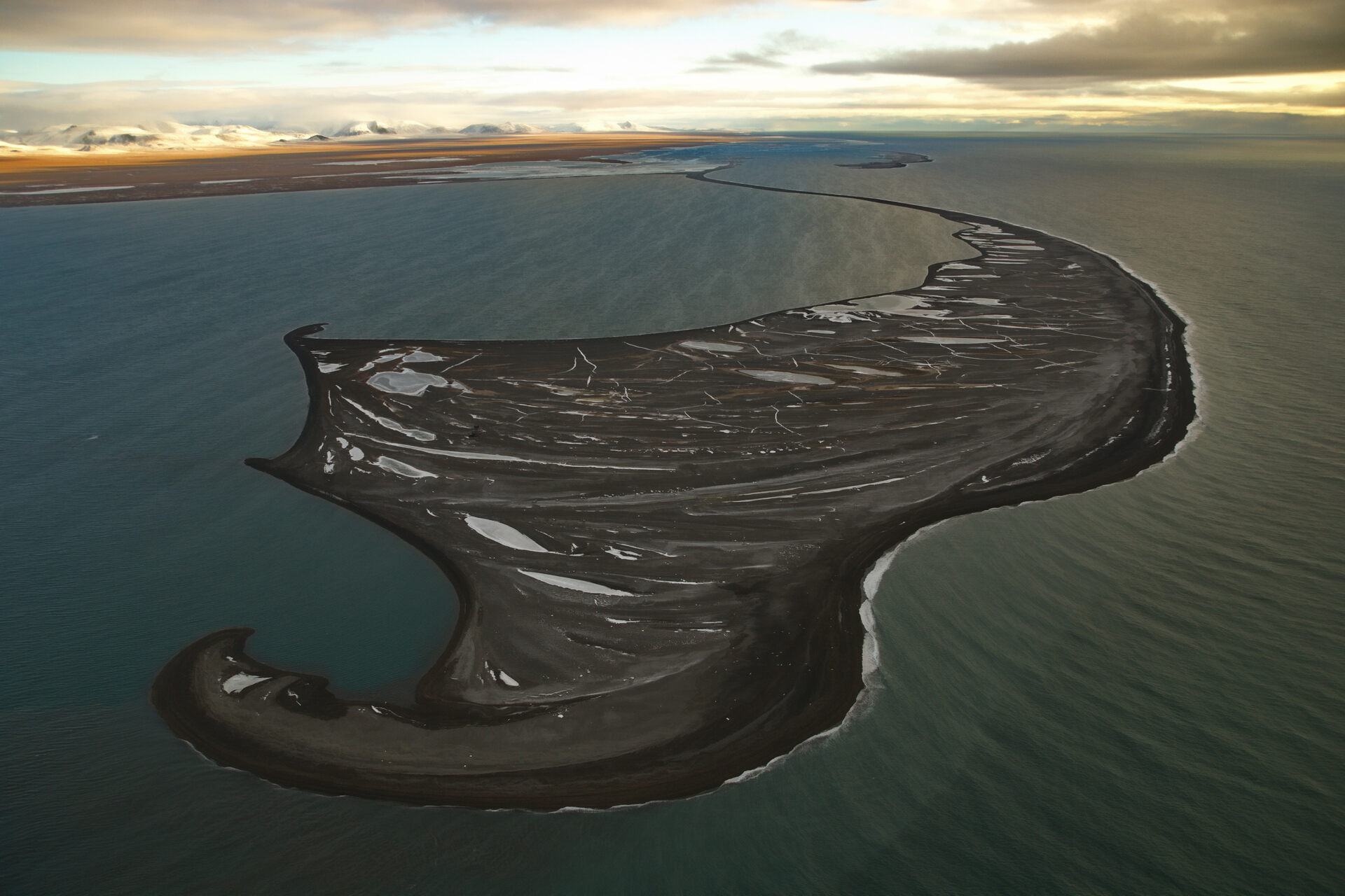 Wrangel Island: paesaggio artico isolato e scarsamente abitato, simbolo di biodiversità, resilienza naturale e interesse strategico in un’area sempre più centrale nelle dinamiche ambientali e geopolitiche globali