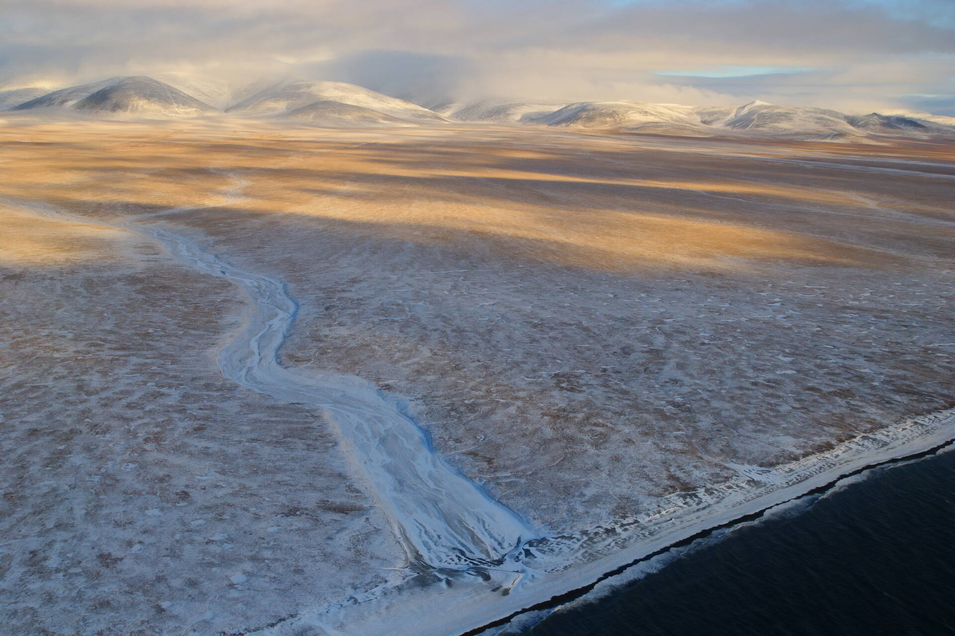 Wrangel Island: isola del Circolo Polare Artico riconosciuta per la sua importanza ambientale, la conservazione degli habitat naturali e il ruolo chiave nei programmi di ricerca e monitoraggio dell’Artico