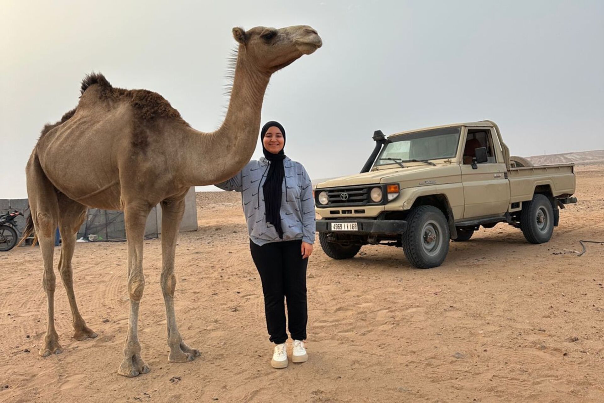 Cammello: animale simbolo degli ecosistemi desertici al centro di progetti di ricerca su bioeconomia, sostenibilità e innovazione agricola, con applicazioni in cosmetica, energia rinnovabile e sviluppo locale