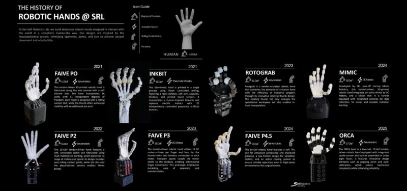 Robotica bioibrida: sviluppo di tecnologie avanzate che combinano ingegneria, materiali innovativi e modelli biologici per applicazioni in robotica, protesica e interazione uomo-macchina in contesti di ricerca scientifica